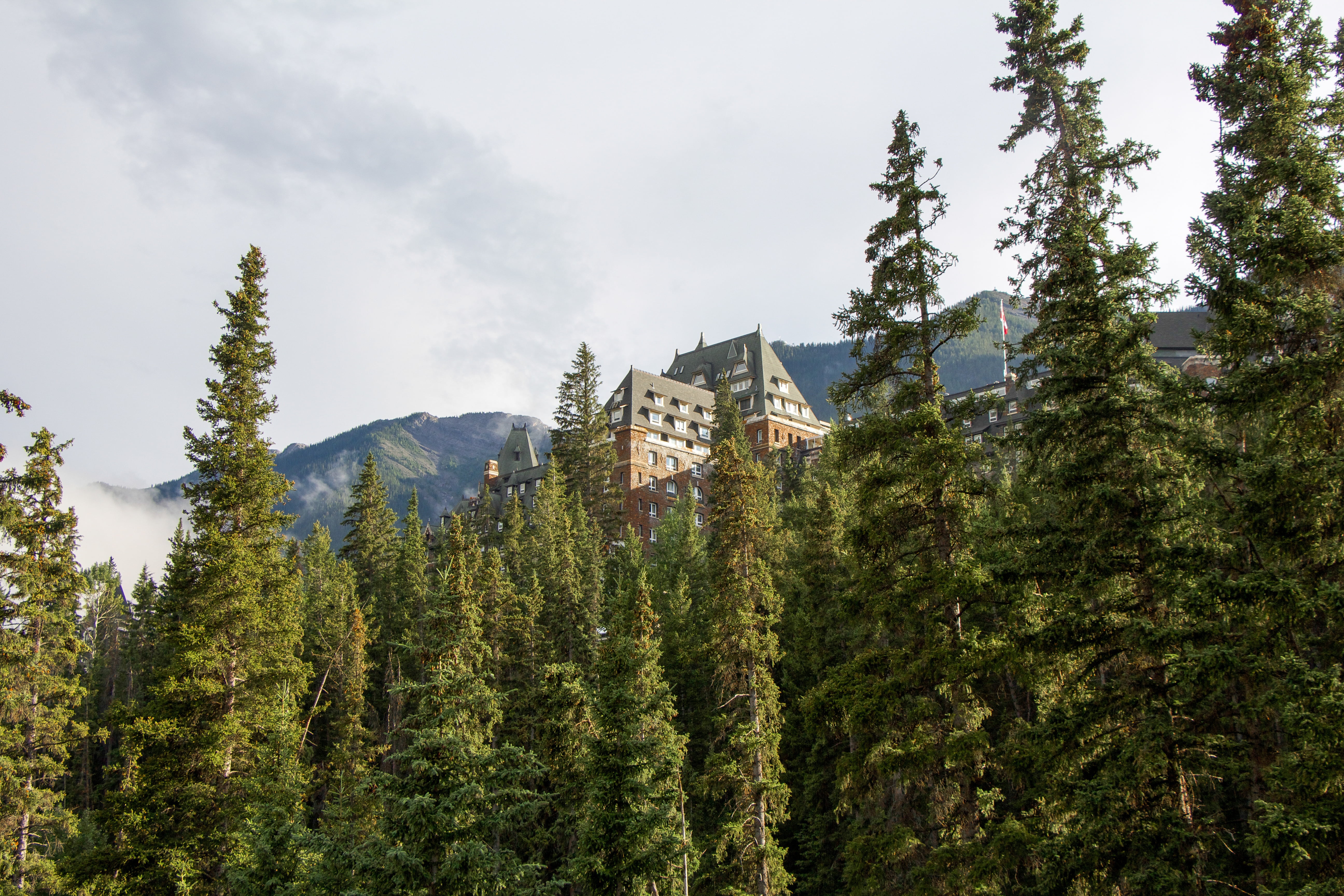house, banff, resort, 5K, rockies, stone, plant, tourist, park, scenics - nature, architecture, national, alberta, summer, tranquility, day, pine tree, HD Wallpaper