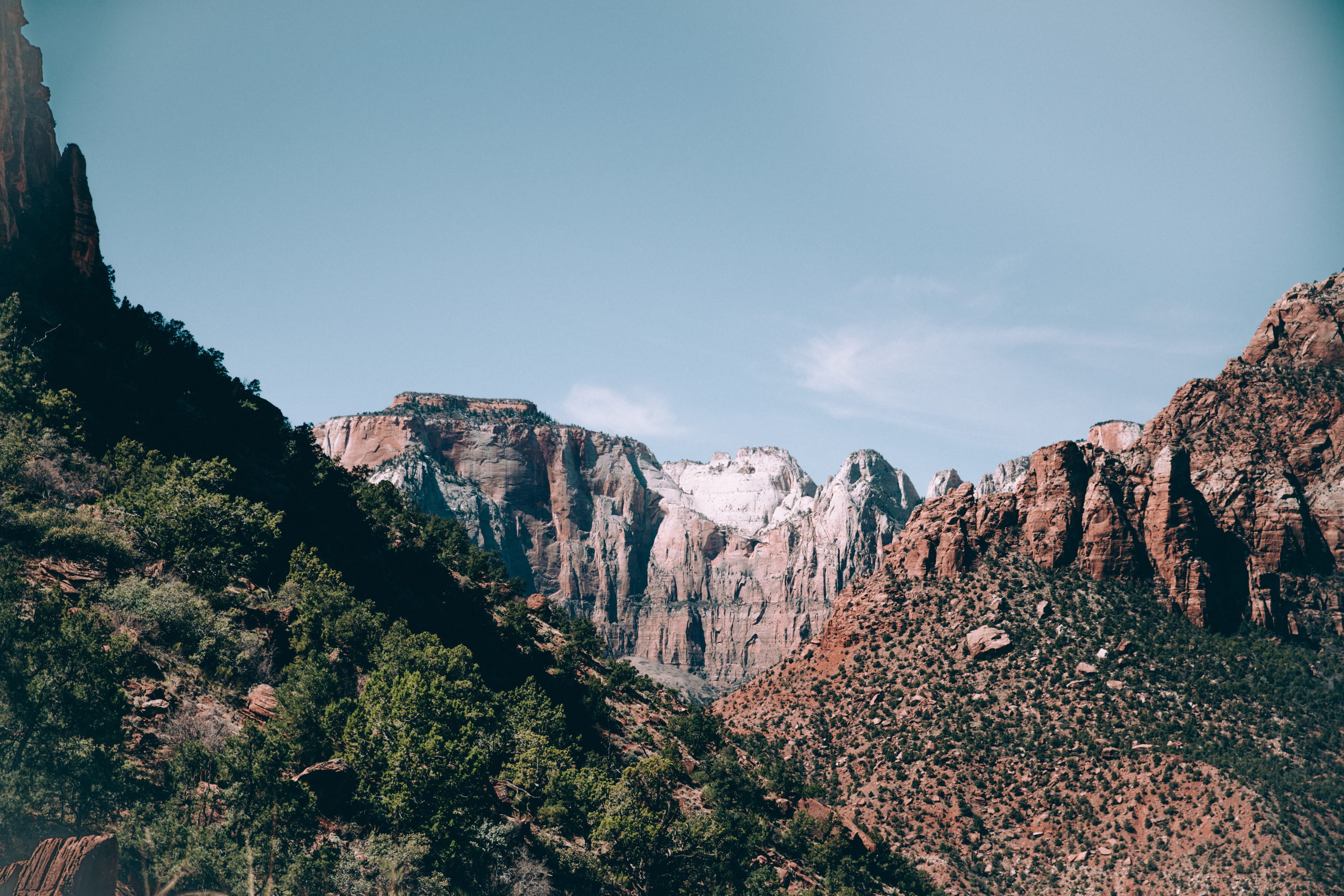 day, Green, root, mountain peak, tree, tranquil scene, Arizona, environmental, Peak, outdoor, serenity, plant, branches, Land, Wilderness, plants, botany, HD Wallpaper