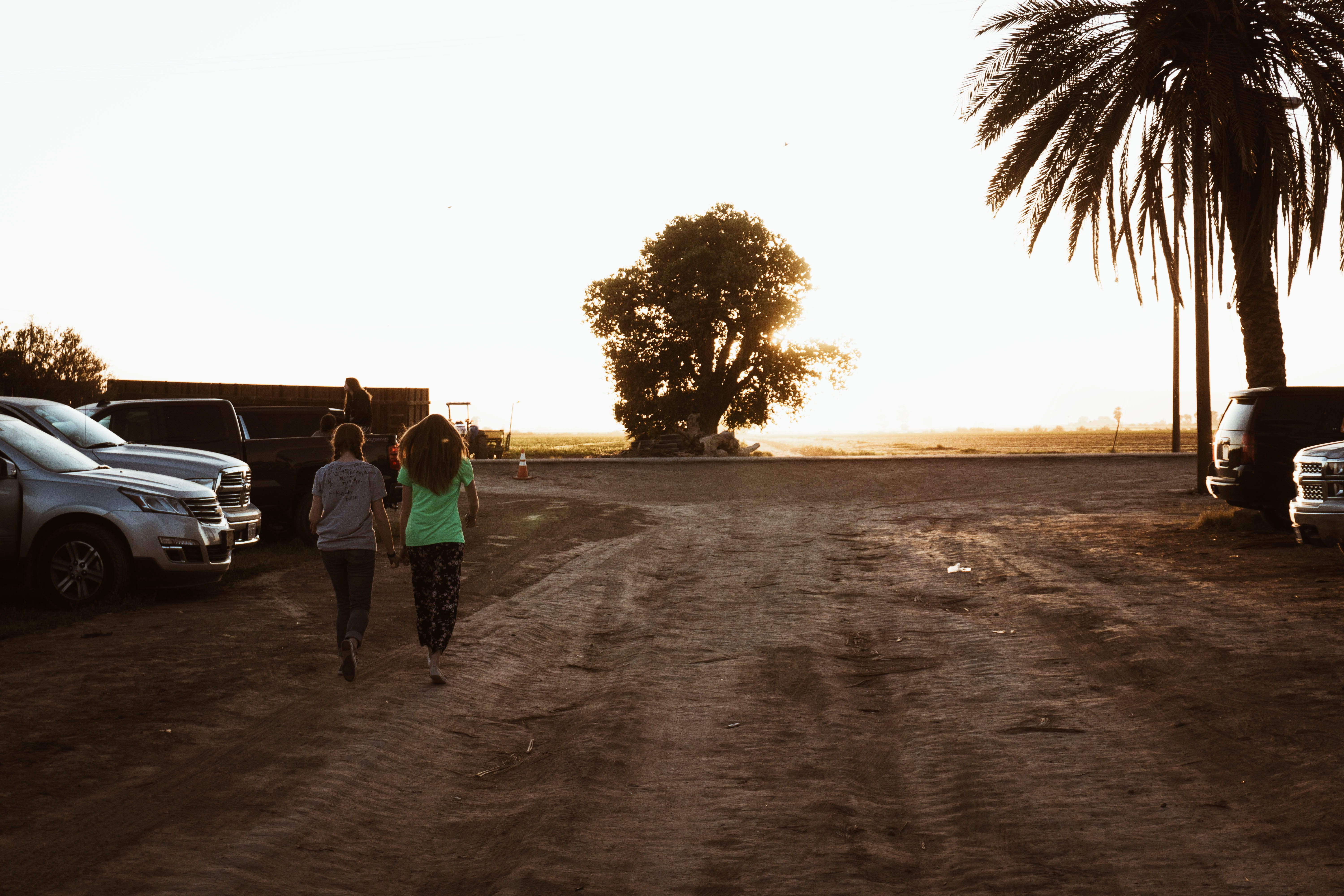rear view, outdoors, sky, group of people, truck, road, guadalupe victoria, 5K, clear sky, field, chevy, plant, sunset, motor vehicle, men, land, togetherness, HD Wallpaper