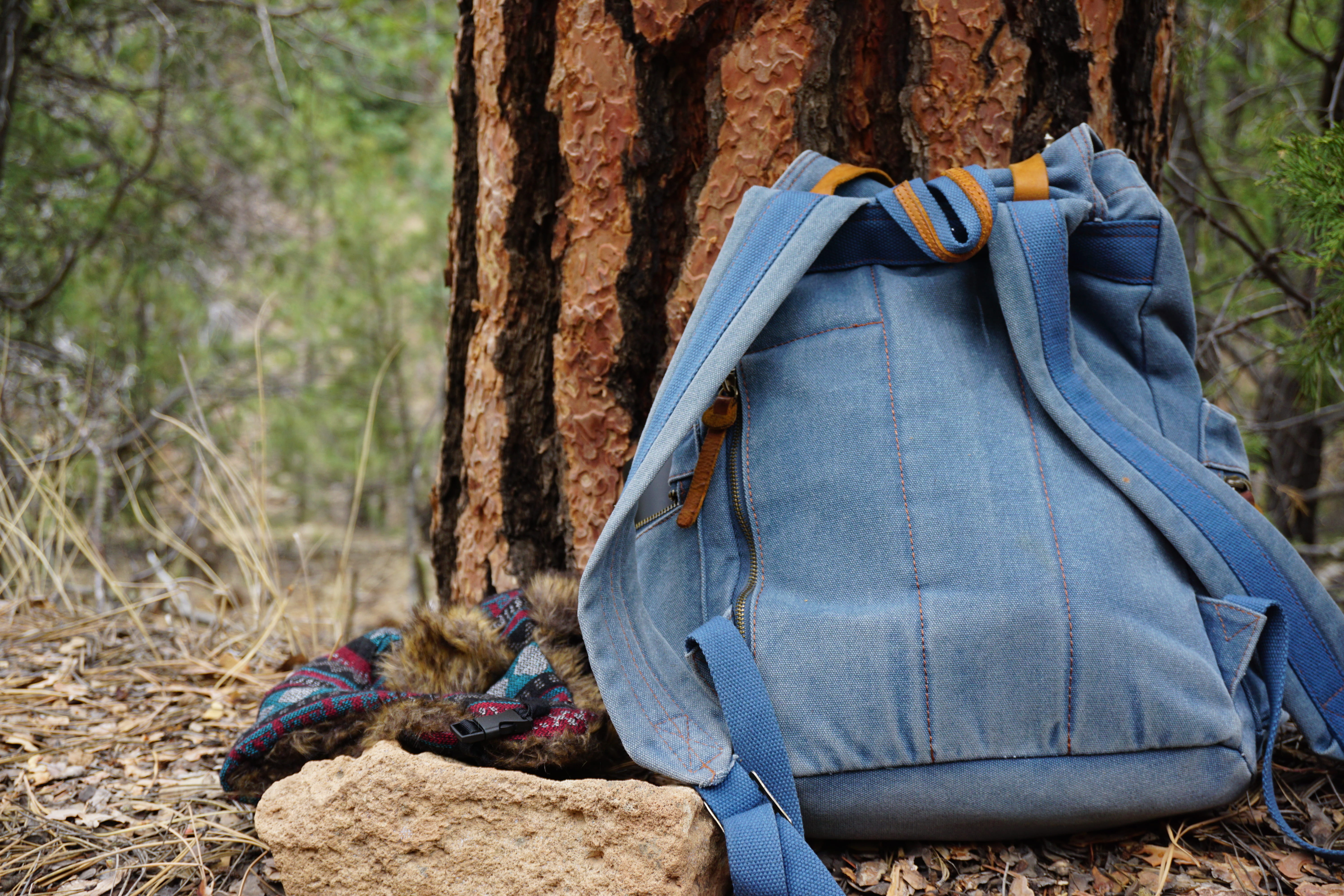 united states, outdoors, questa, guadalupe trail, day, textile, forest, nature, land, woody, backpack, woods, tree, blue, bark, bag, hat, hiking, no people, HD Wallpaper