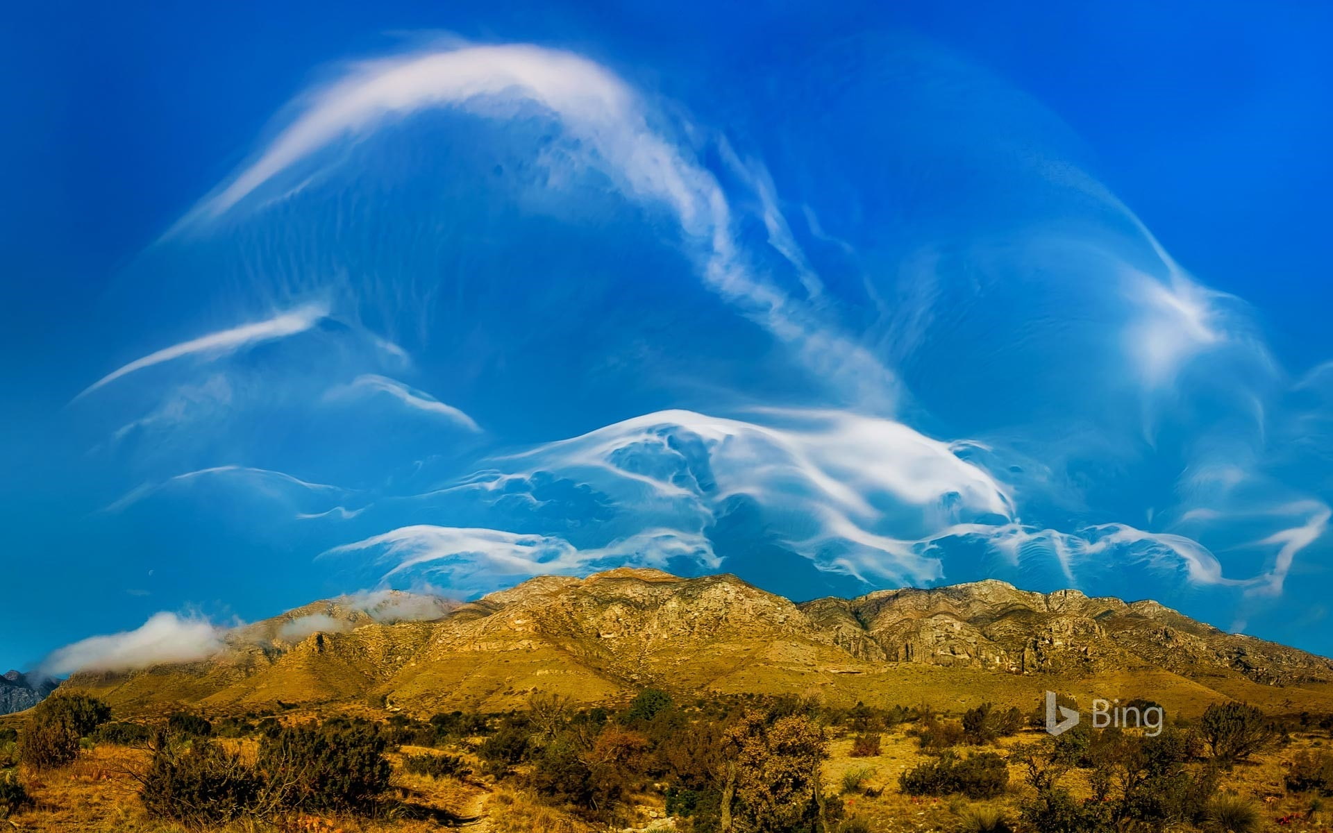 texas, tranquil scene, plant, semi-arid, outdoors, tranquility, sky, mountain peak, tree, guadalupe, park, travel destinations, beauty in nature, mountain, HD Wallpaper