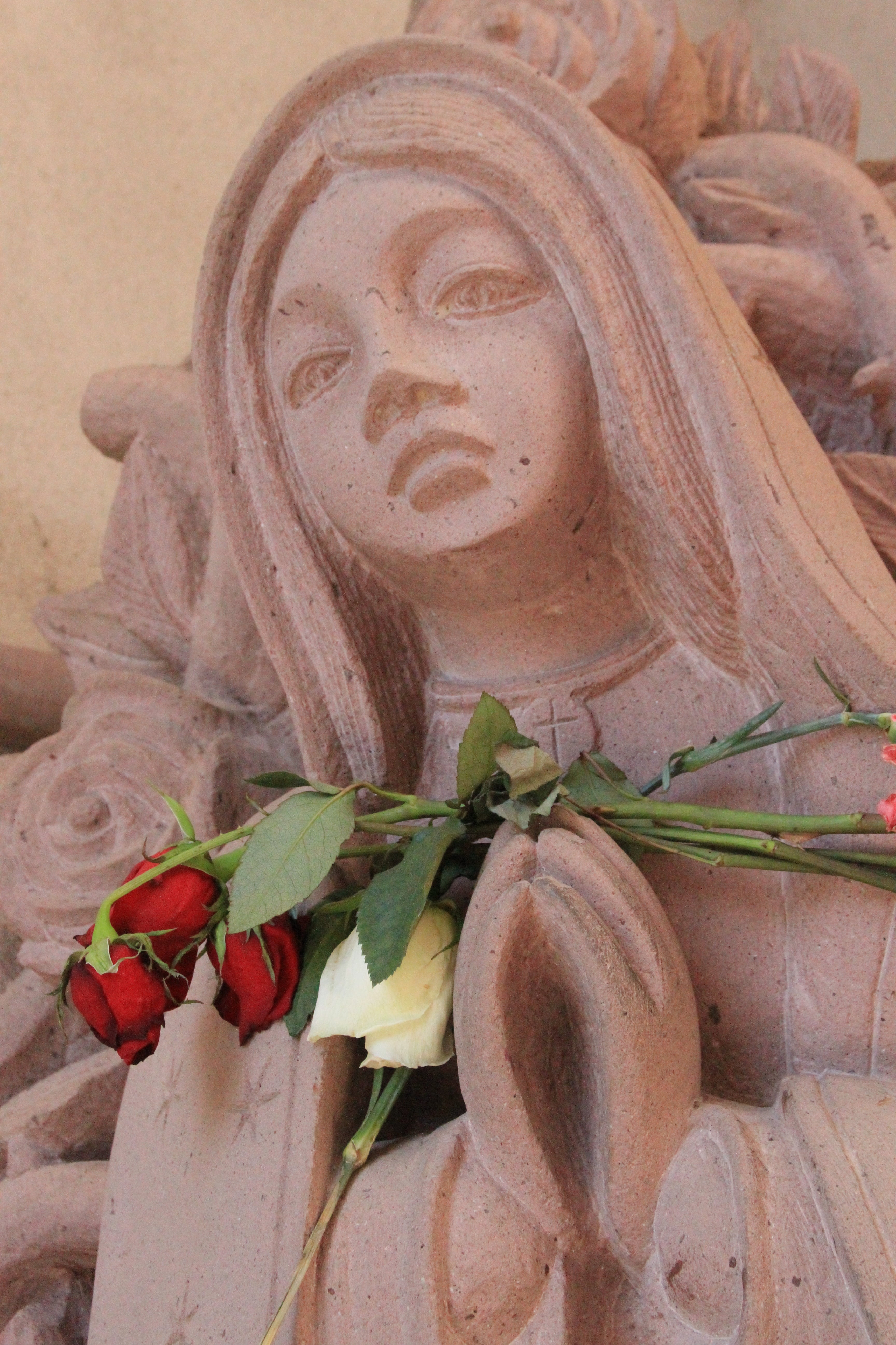 pray, st anne roman catholic parish, flower, plant part, nature, sculpture, stone statue, craft, no people, roses, religion, wall - building feature, plant, Phone HD Wallpaper