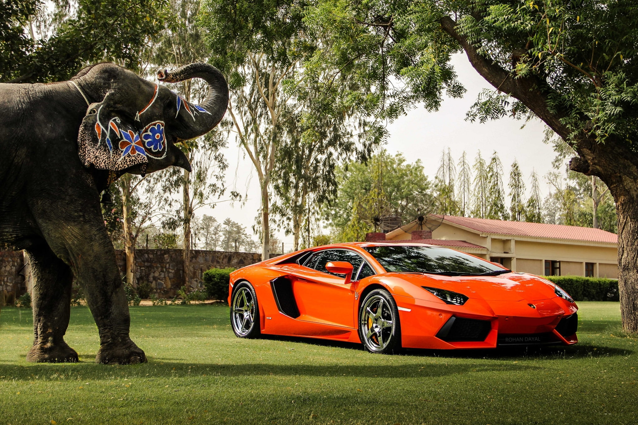 front view, the fence, elephant, reflection, Lamborghini, lp700-4, aventador, 1080P, the building, orange, trees, HD Wallpaper