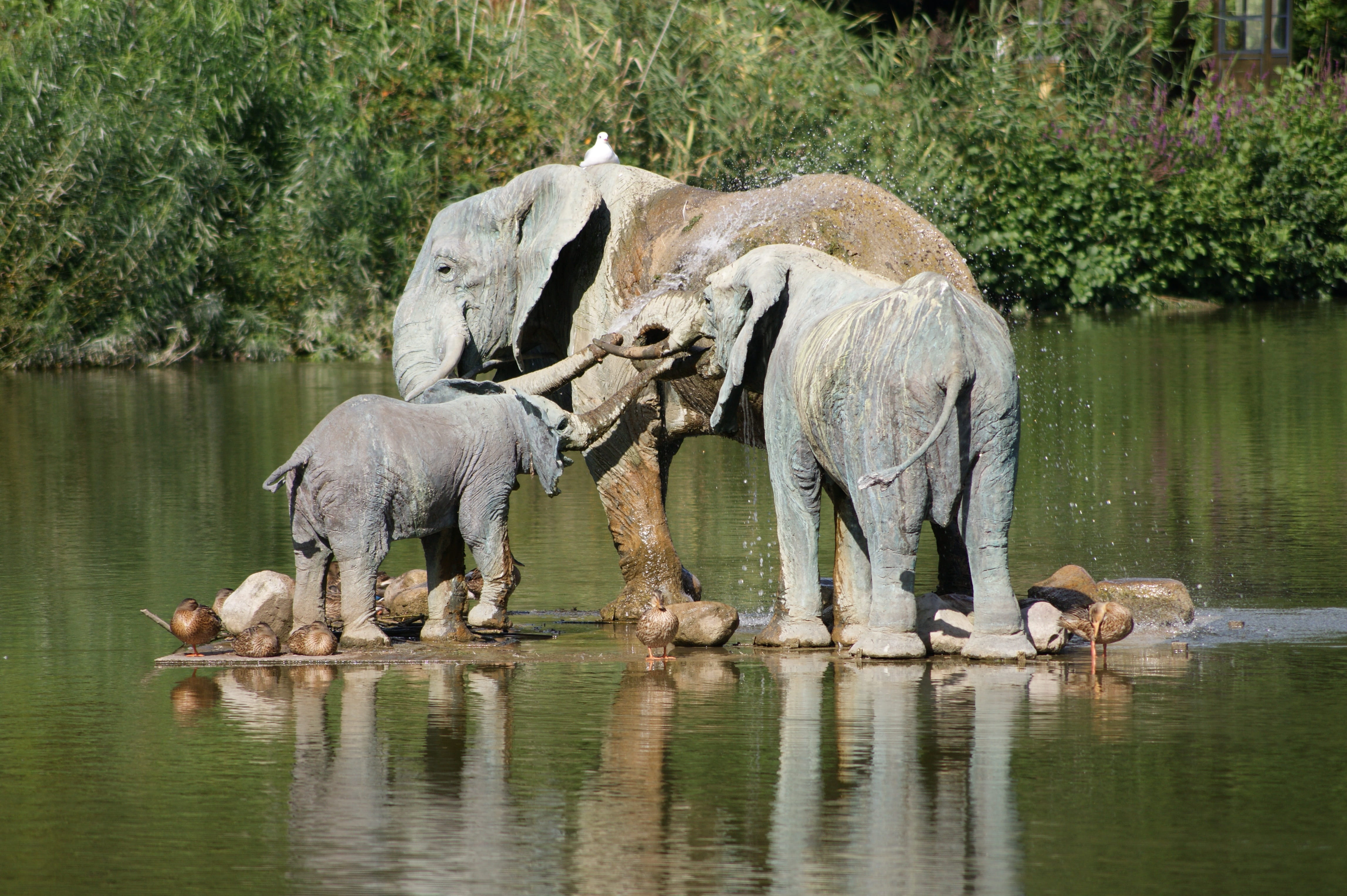 elephants, drink, sculpture, water, river, elephant, three, waterfront, day, reflection, tree, nature, knuthenborg, group of animals, animals, plant, no people, HD Wallpaper