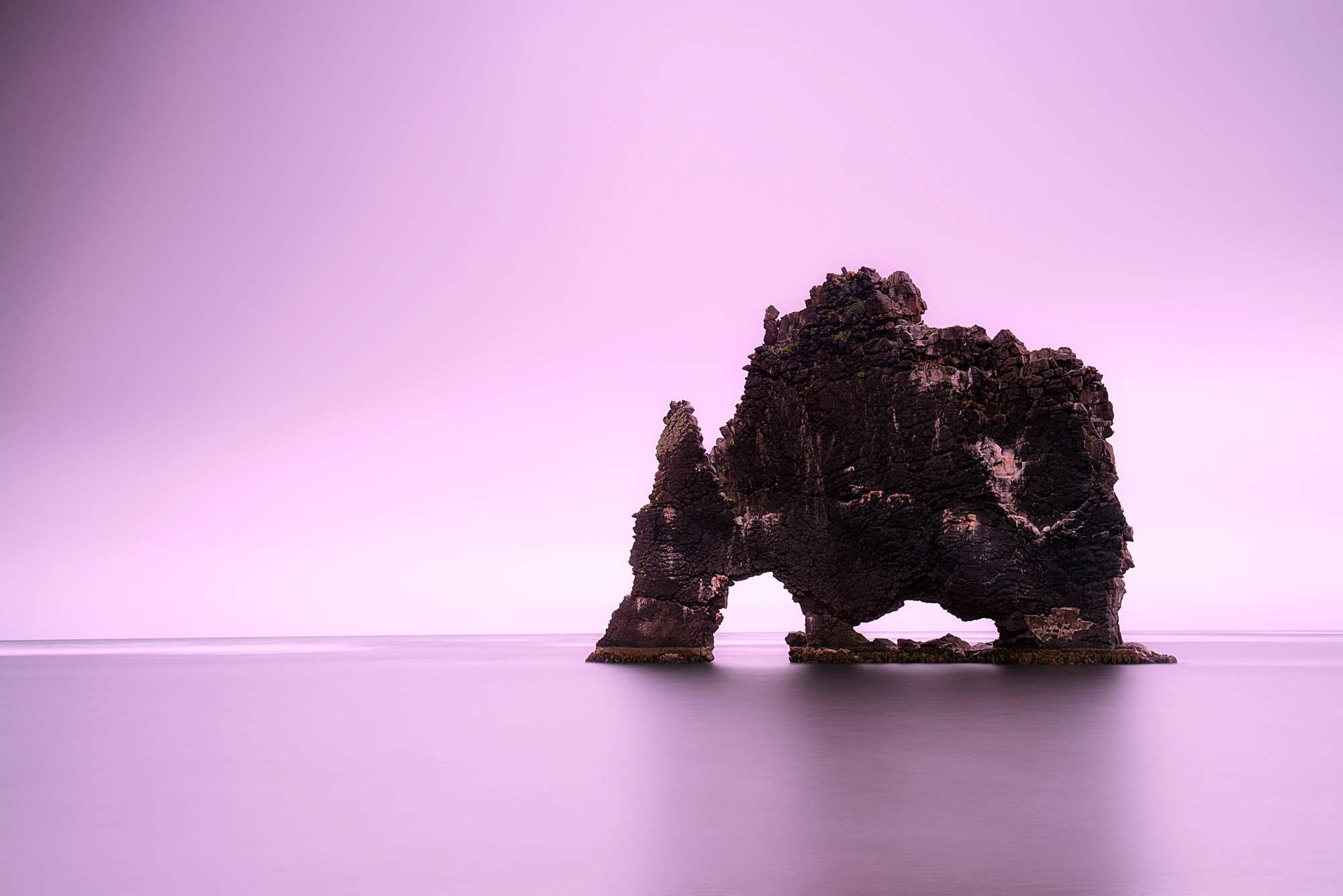 art and craft, dusk, dawn, mammal, backlit, representation, water, rock formation, reflection, copy space, 1080P, animal wildlife, pink color, sea, outdoors, HD Wallpaper