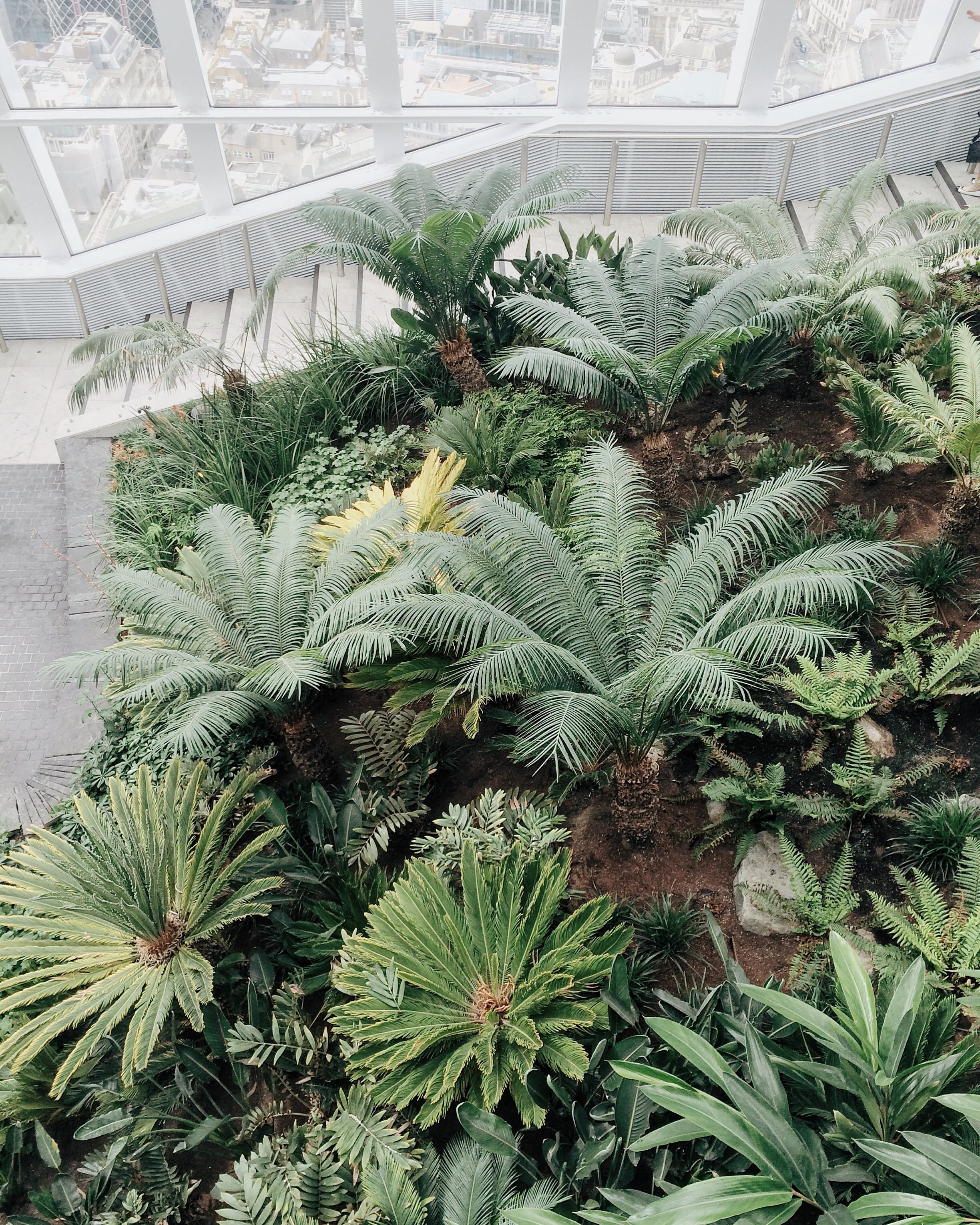abundance, no people, green color, day, plant, freshness, potted plant, botanical, growth, greenhouse, garden, plant nursery, green, flower, cactus, maturation, Phone HD Wallpaper
