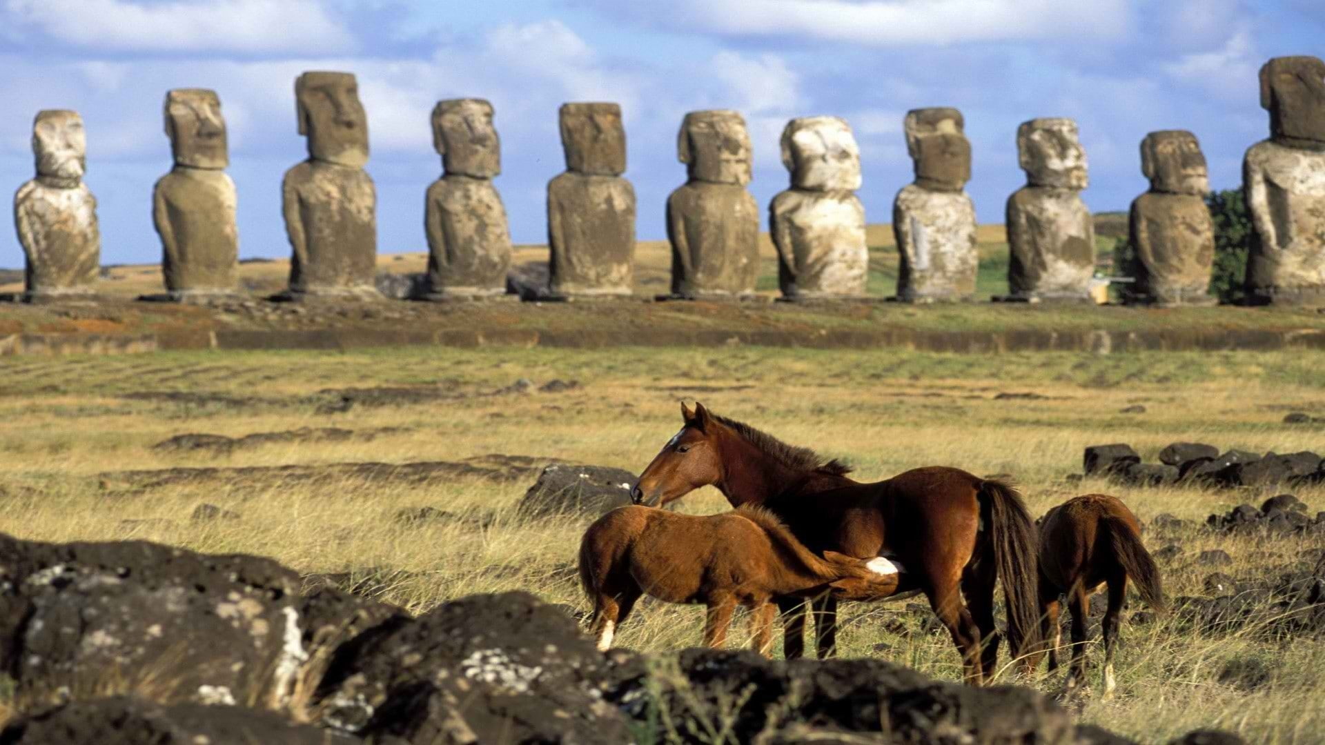 world, island, art, Chile, horses, animals, 1080P, hd, easter, x, HD Wallpaper