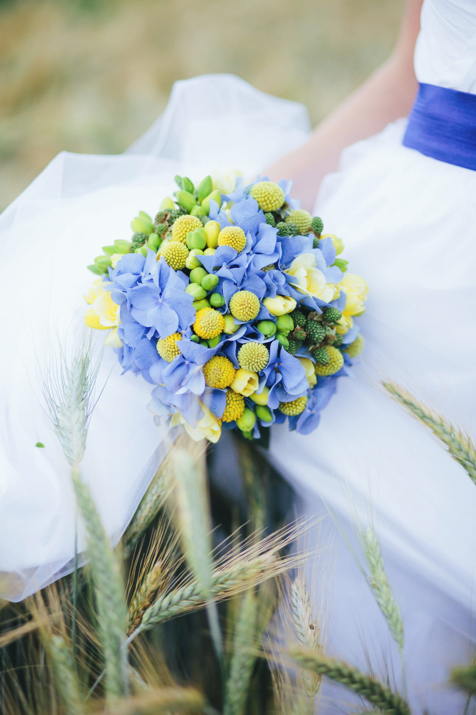 caroline s blue flower, nature, real people, vulnerability, flower, bouquet, flower head, women, flower arrangement, blue, flowers, day, white color, holding, Phone HD Wallpaper