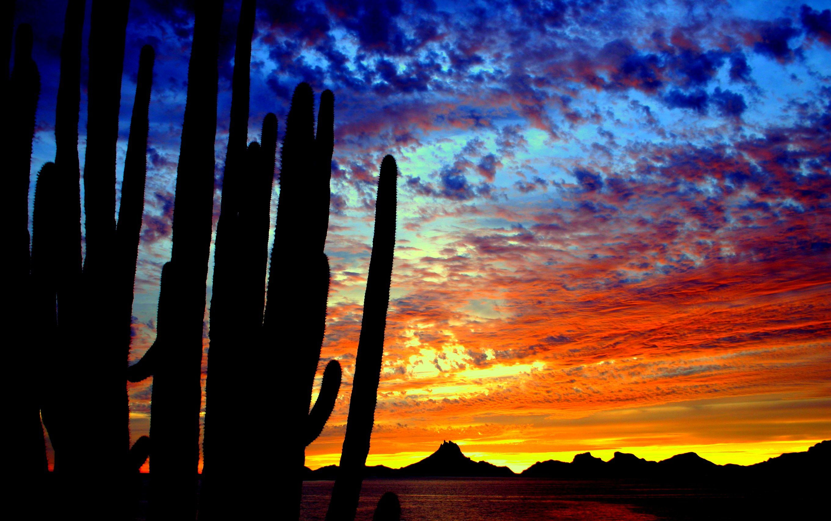 hills, colorful, landscape, clouds, 2K, silhouette, desert, nature, evening, cactus, sunset, HD Wallpaper