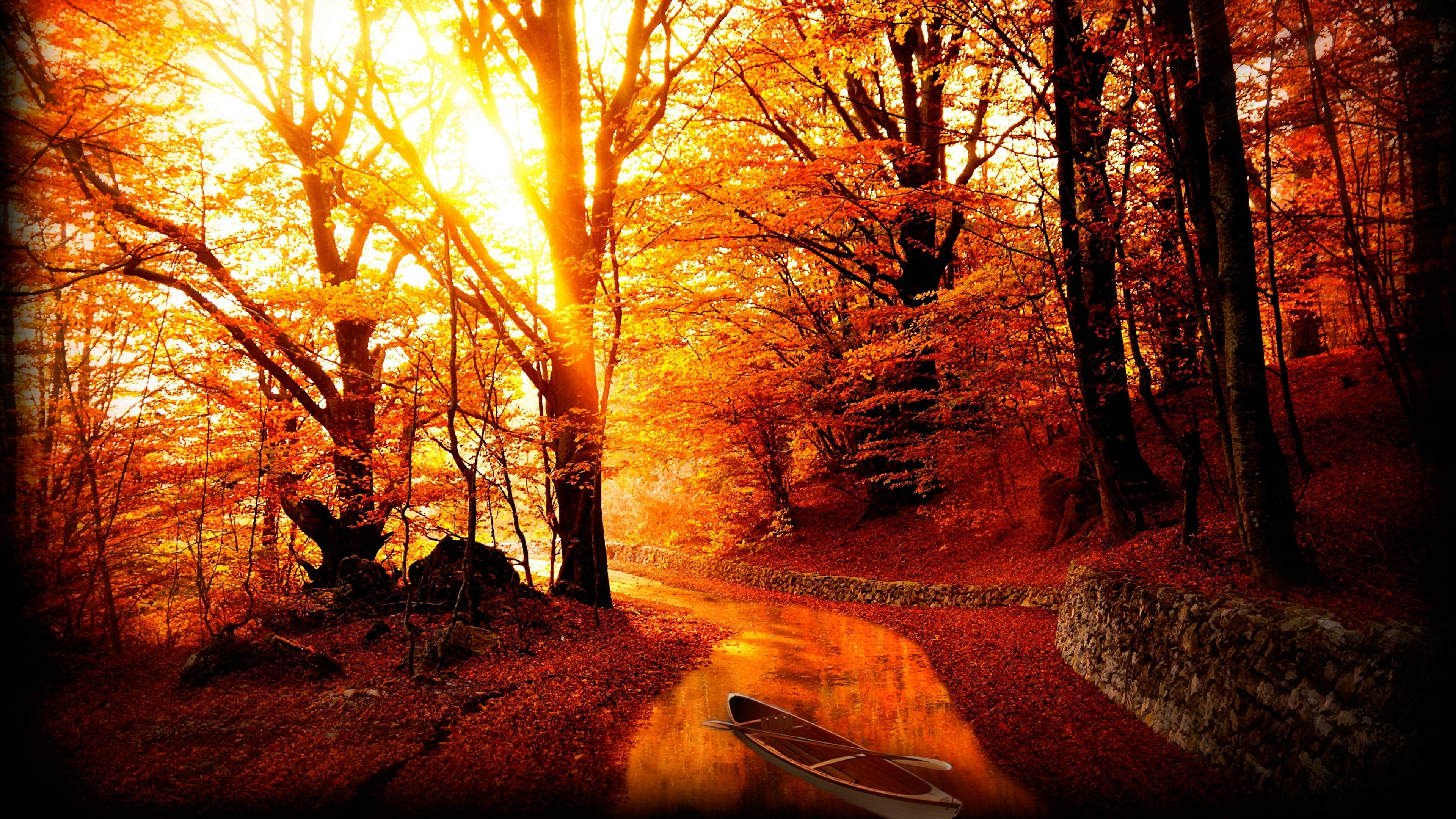 deciduous, 4K, autumn, colors, tree, river, woodland, boat, branch, sunlight, leaves, nature, forest, HD Wallpaper