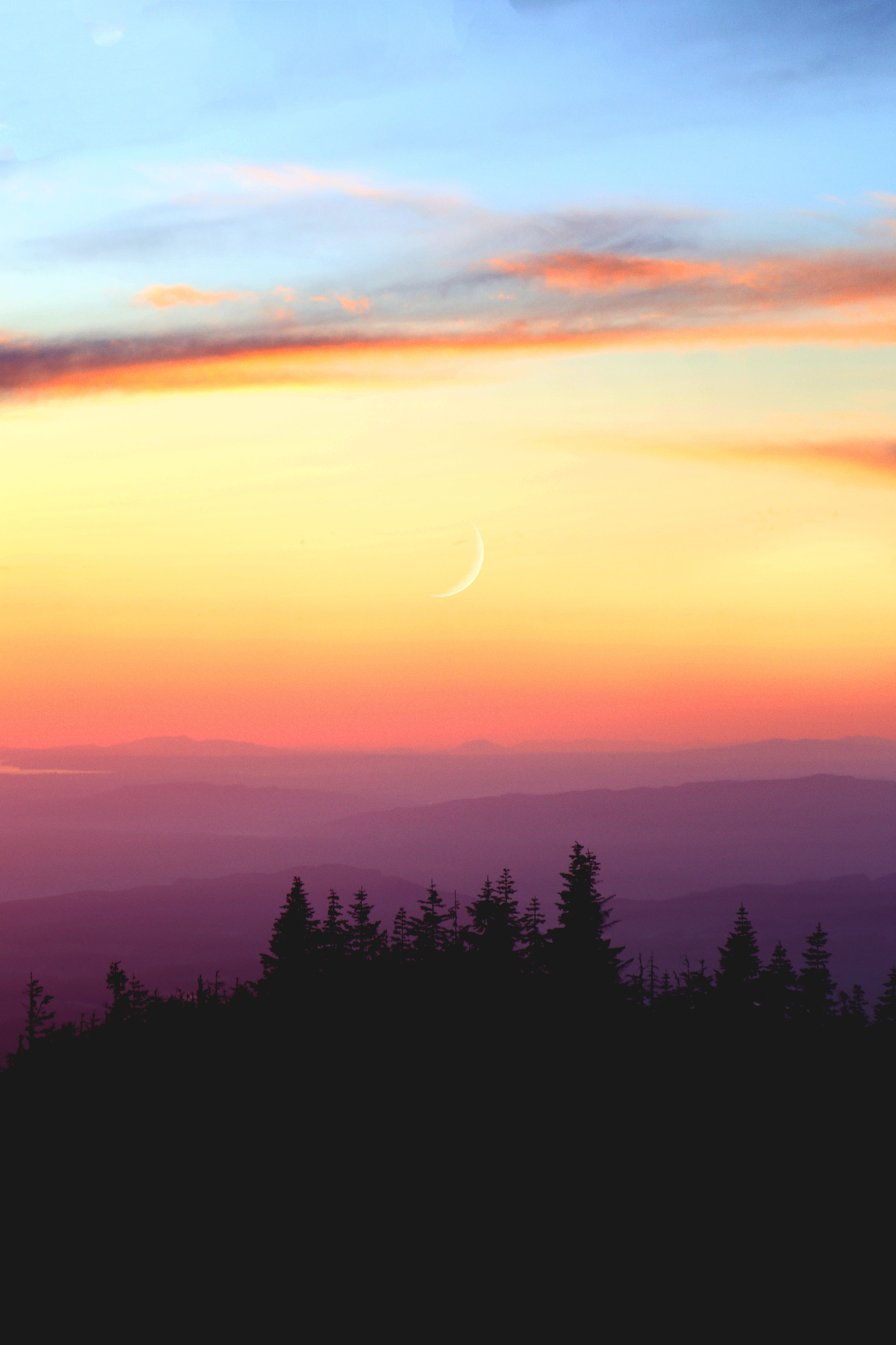 dawn, nature, horizon, north bend, tree, plant, romantic sky, outdoors, mt si, united states, moon, spruce, sunset, forest, idyllic, conifer, land, tranquility, Phone HD Wallpaper