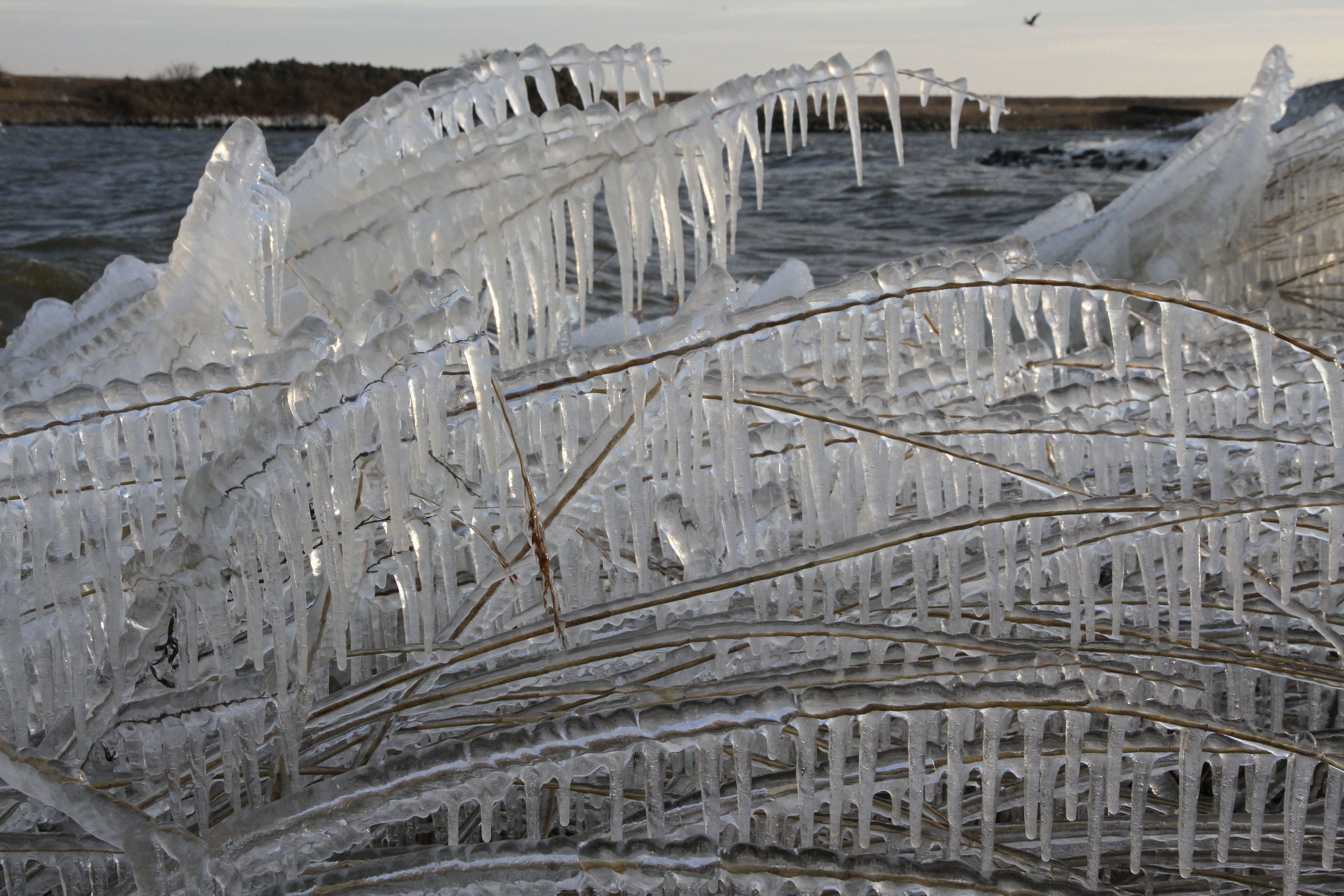 2K, no people, pollution, tranquil scene, non-urban scene, Ijsselmeer, industry, day, cold temperature, outdoors, land, friesland, icicle, enclosing dyke, HD Wallpaper