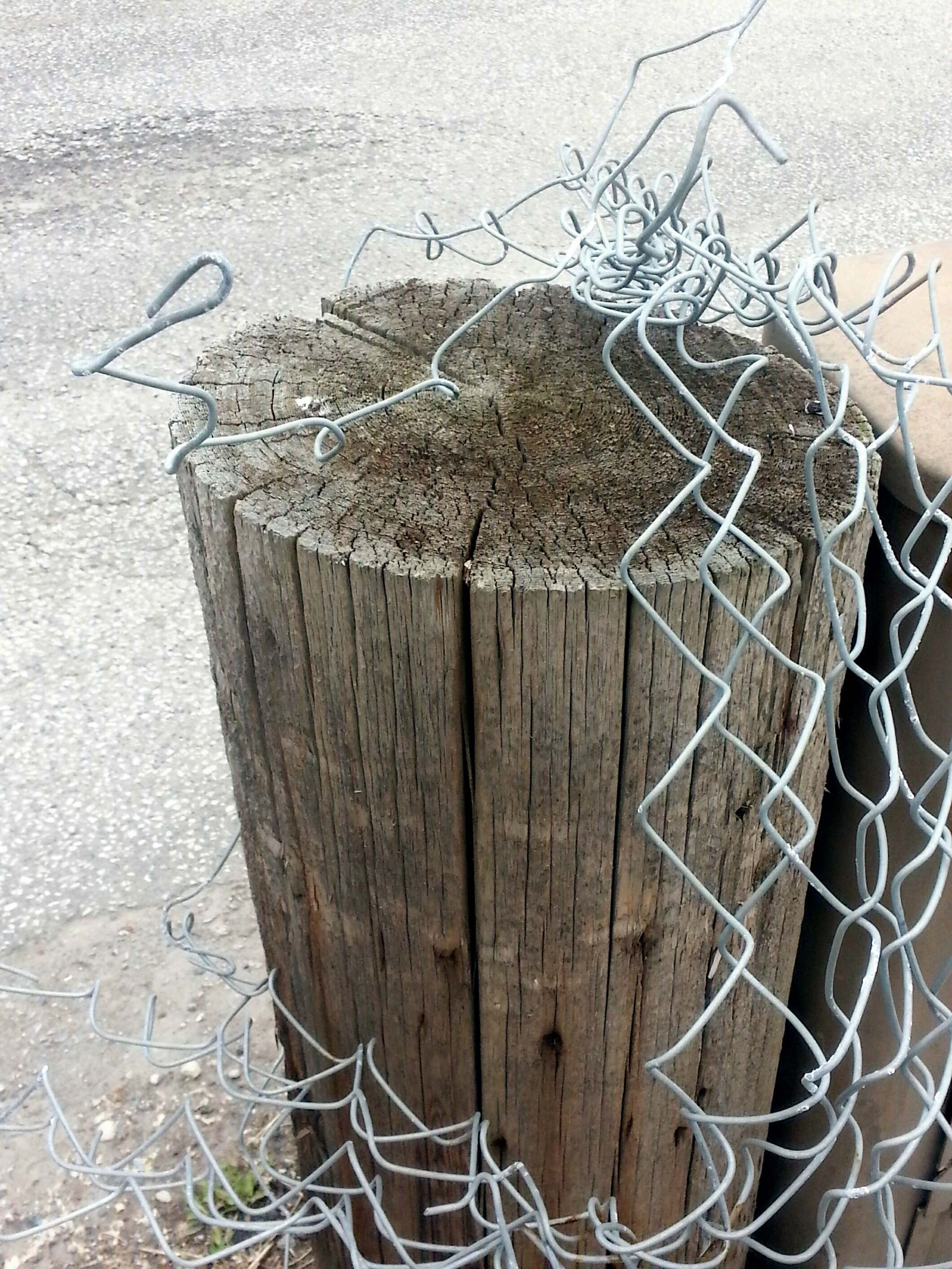 chainlink, enclose, metal, tree, dry, container, link, 2K, dead plant, fence, wire, plant, abandoned, grunge, old, no people, still life, outdoors, tangled, Phone HD Wallpaper