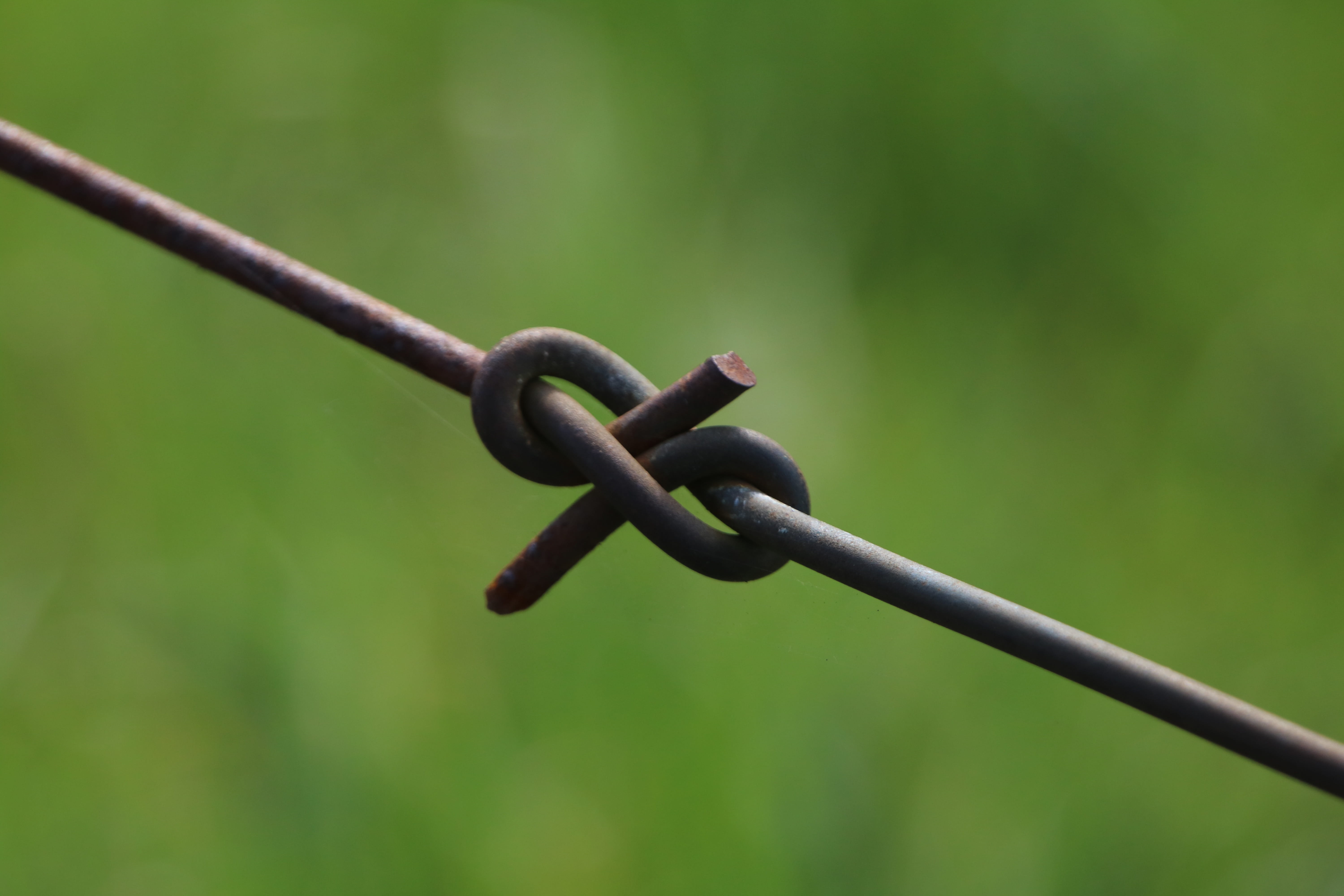 Wire, strong, enclose, strength, sharp, Tie The Knot, no people, link, privacy, outdoors, chain, danger, nature, day, boundary, protection, barbed wire, HD Wallpaper