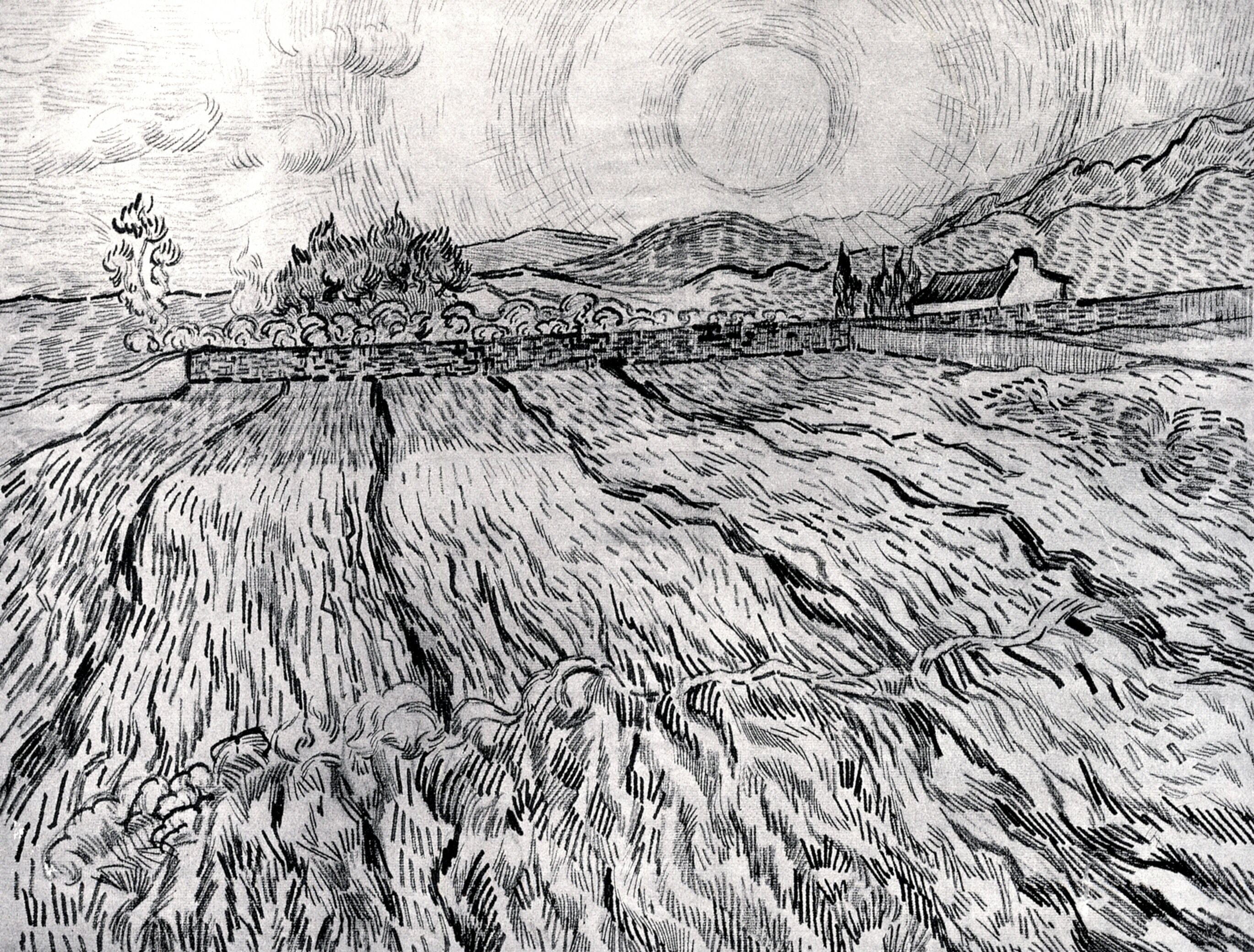 2K, Enclosed Field behind, Saint-Paul Hospital, Vincent van Gogh, HD Wallpaper