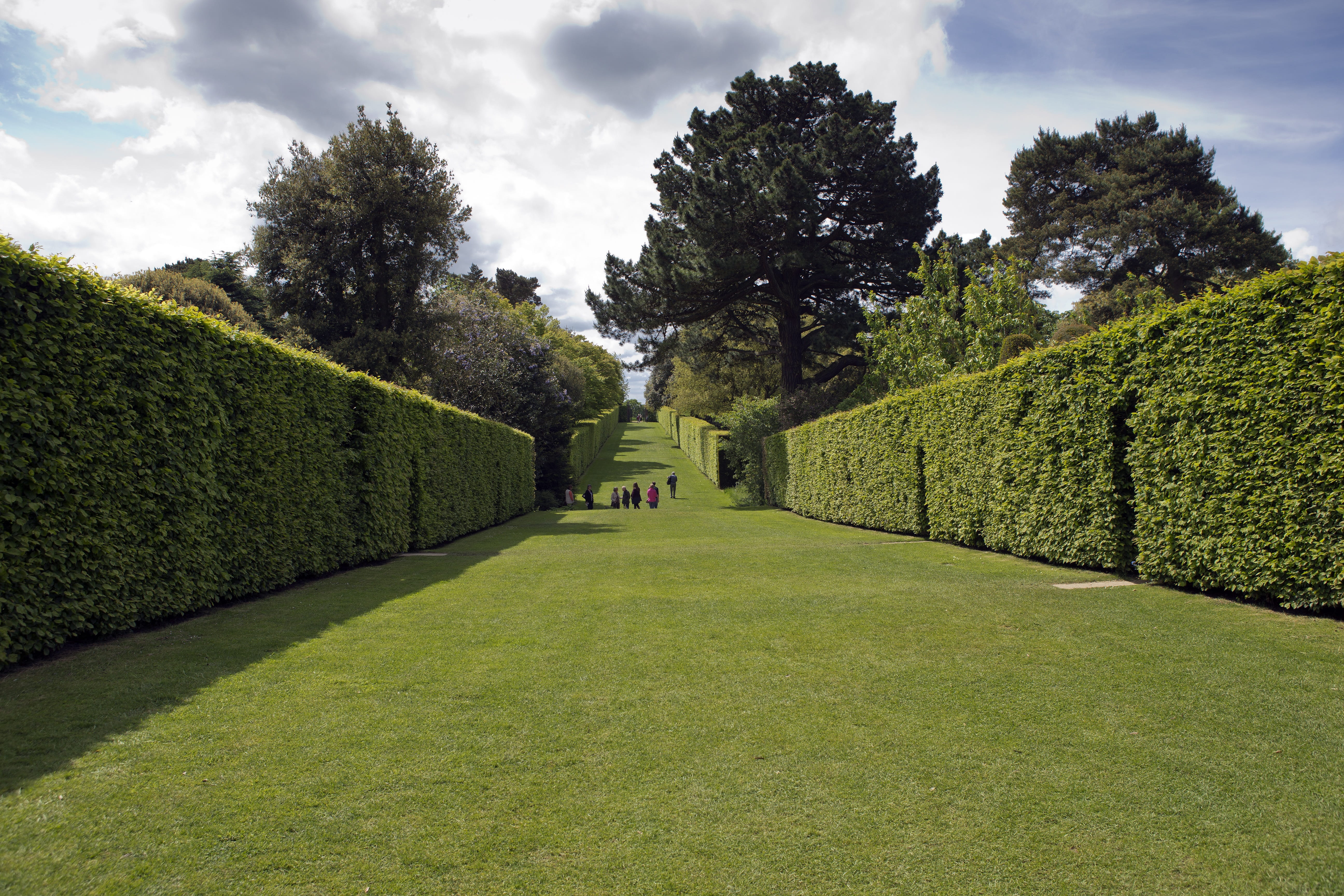 hedge, tranquil scene, garden, garden path, sky, Hidcote Manor Garden, outdoors, beauty in nature, agriculture, topiary, avenue, nature, treelined, manor, HD Wallpaper