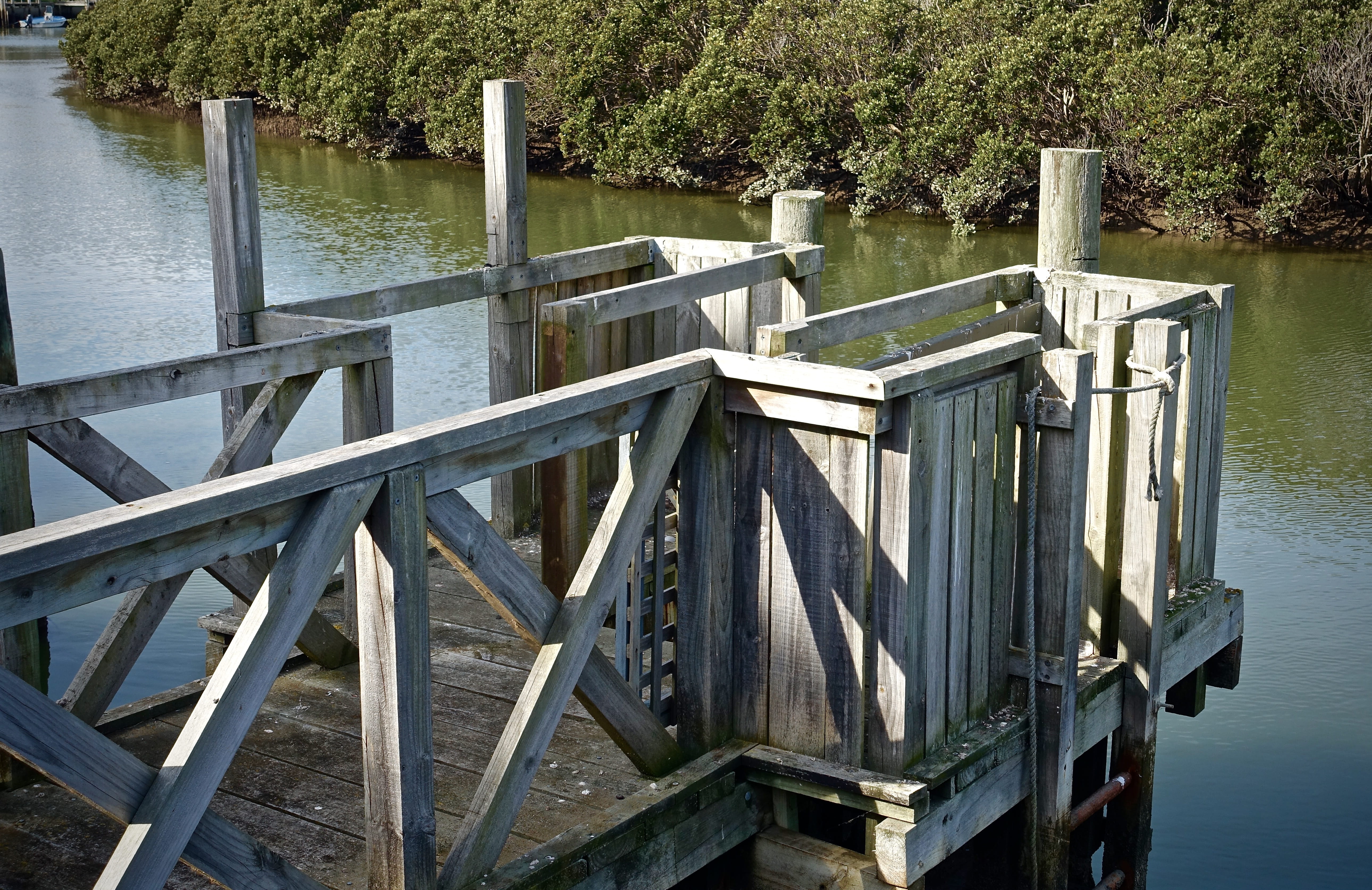 beauty in nature, railing, outdoors, sunlight, pier, tranquil scene, nature, water, bridge - man made structure, fenced, plant, no people, bridge, tranquility, HD Wallpaper