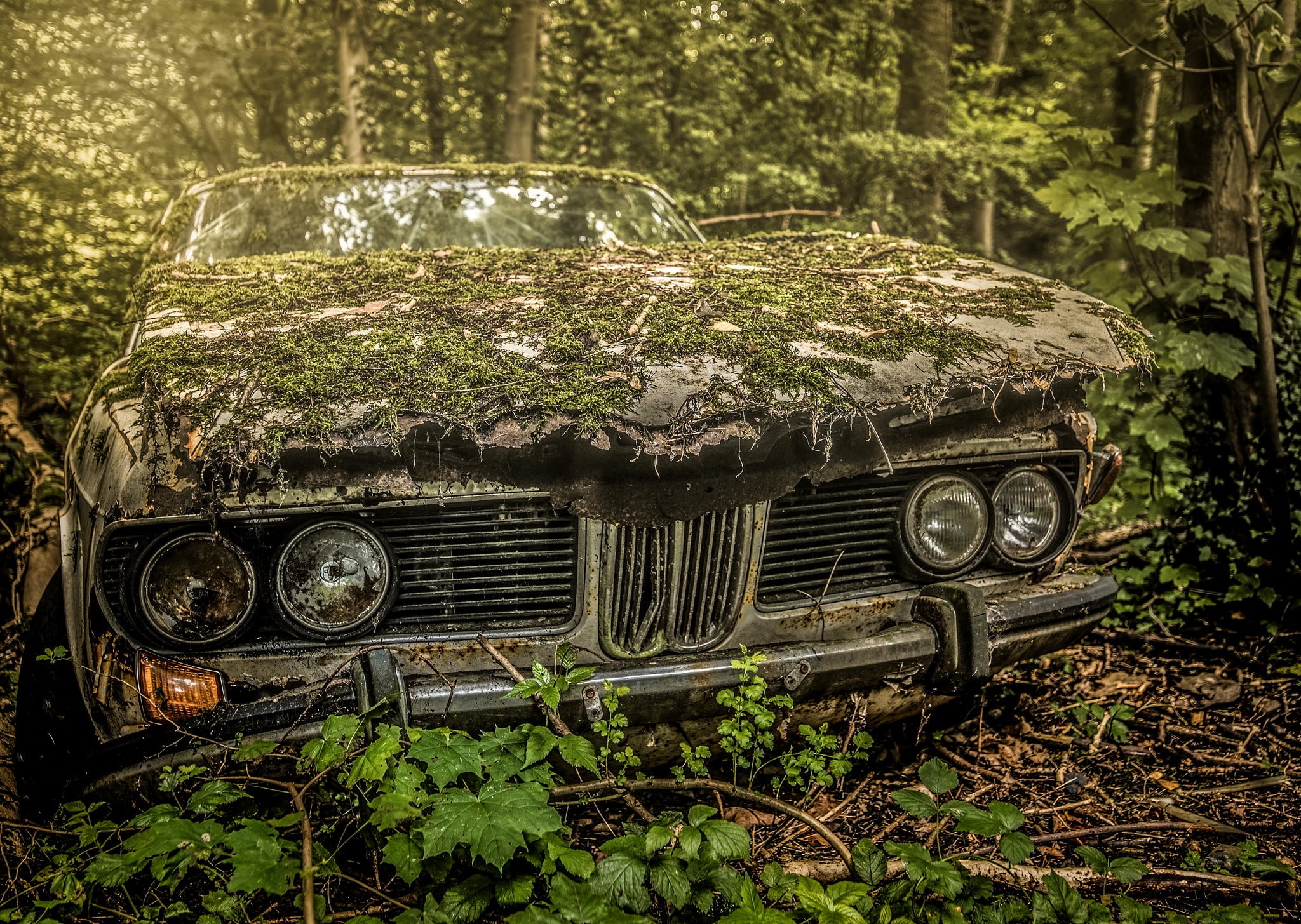 no people, deterioration, mode of transportation, BMW, plant, decline, nature, day, land, run-down, outdoors, moss, transportation, damaged, rusty, wreck, HD Wallpaper
