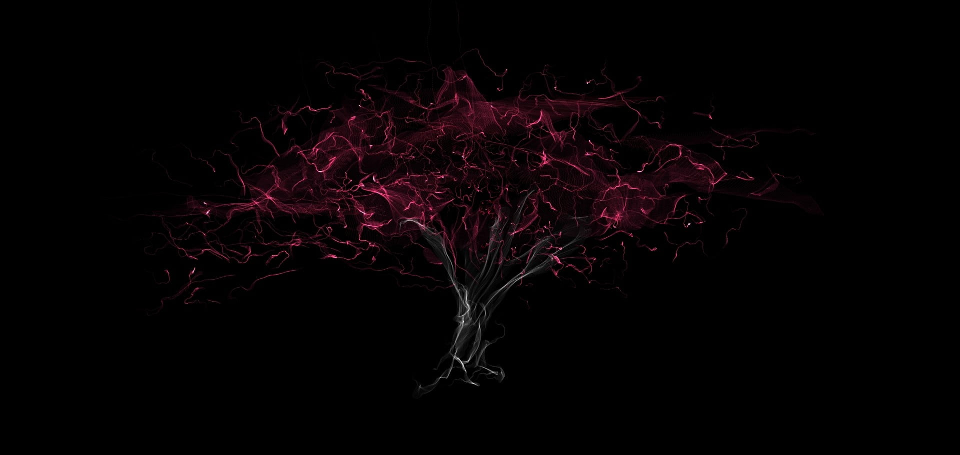 red, plant, abstract, close-up, black background, healthy eating, weavesilk, leaves, creativity, black, growth, food, pattern, nature, motion, HD Wallpaper