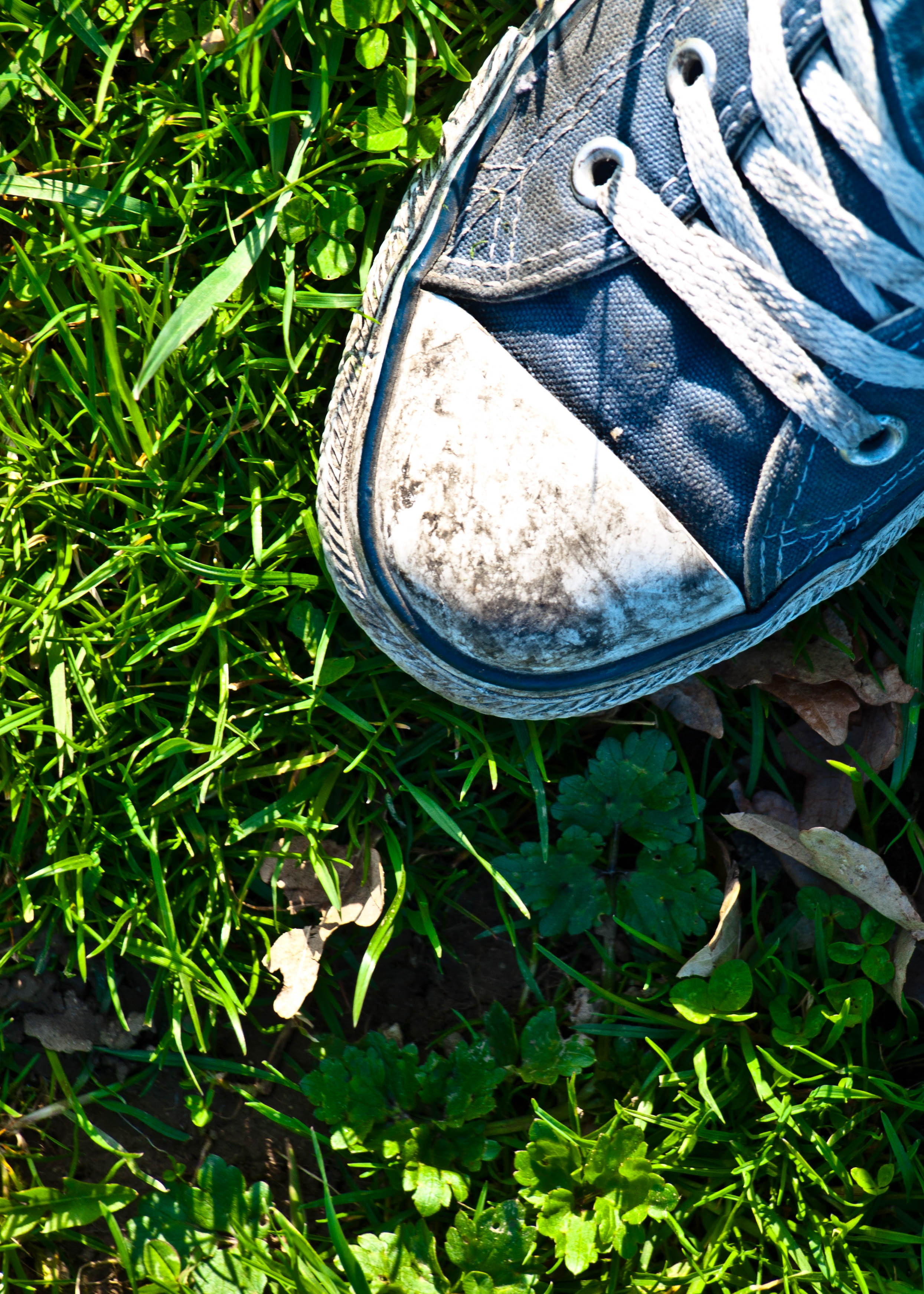 youth, outdoor, plant part, blue, nature, leaf, shoes, chucks, outdoors, all star, grass, sport, white, personal accessory, high angle view, low section, Phone HD Wallpaper