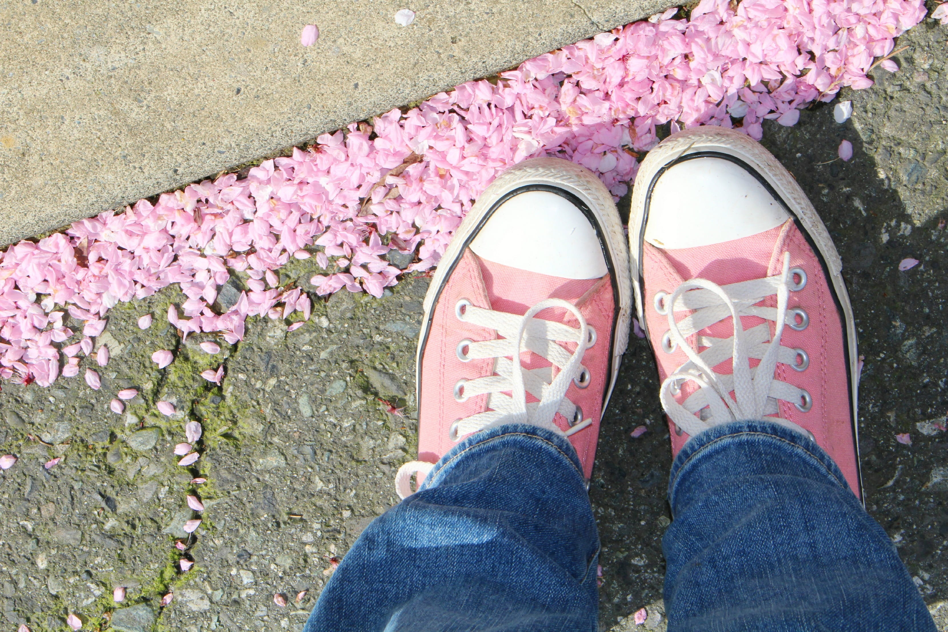 spring, lifestyles, chucks, flowering plant, human Leg, garden, pink color, standing, body part, pink, personal perspective, real people, Pair, jeans, people, HD Wallpaper