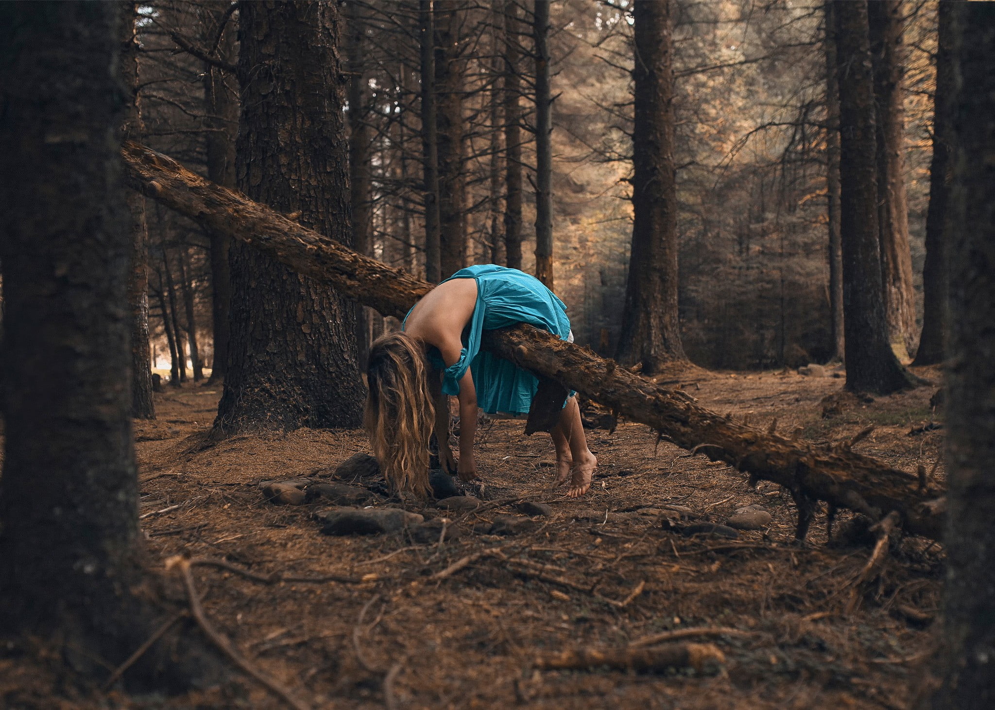 women, casual clothing, leisure activity, blue, tranquility, trunk, women outdoors, fallen, one person, nature, plant, dead, woodland, 1080P, dress, woman, HD Wallpaper