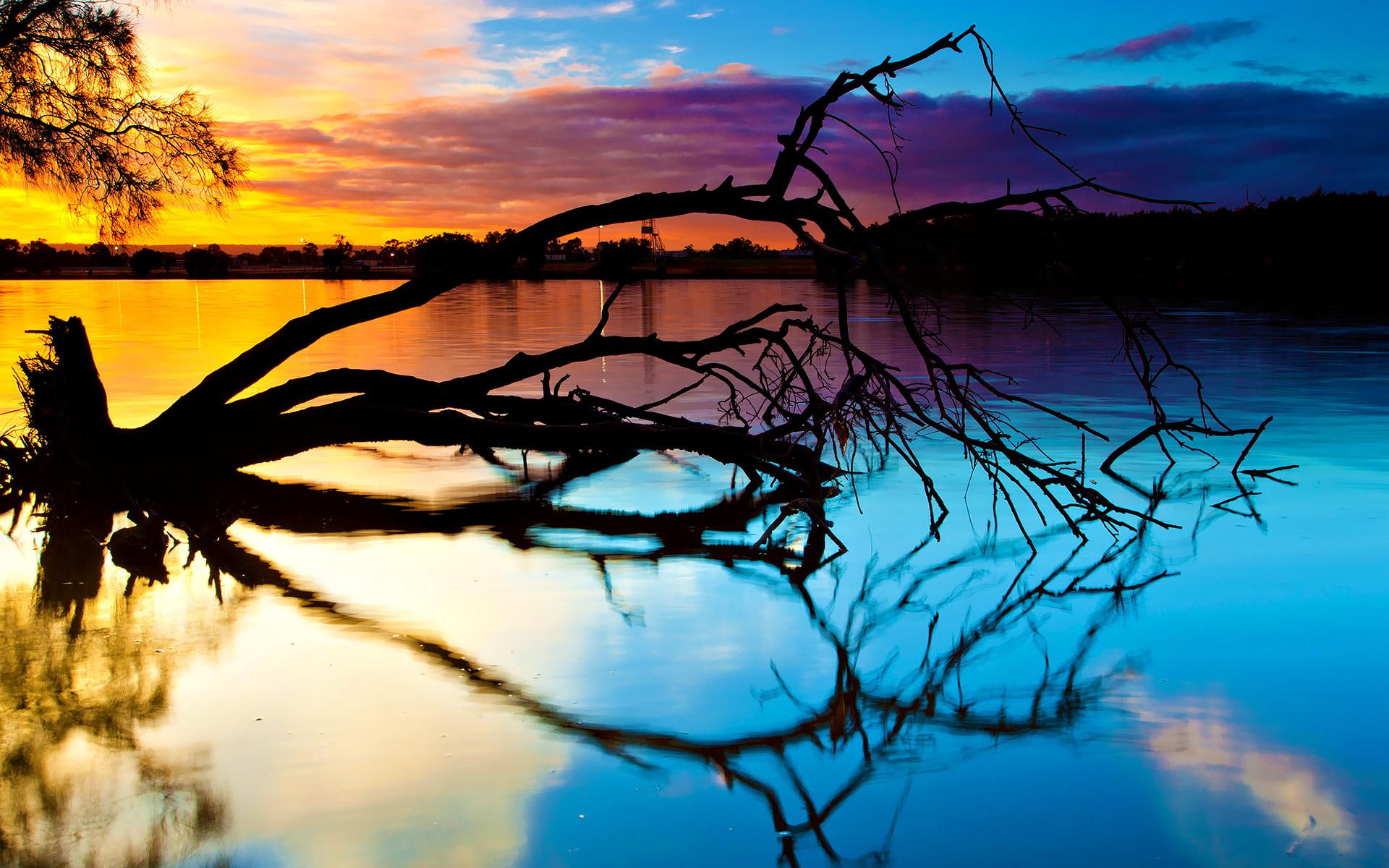 cloud, tree, body, large, nature, water, 1920x1200, sunset, fallen, 1080P, lake, HD Wallpaper