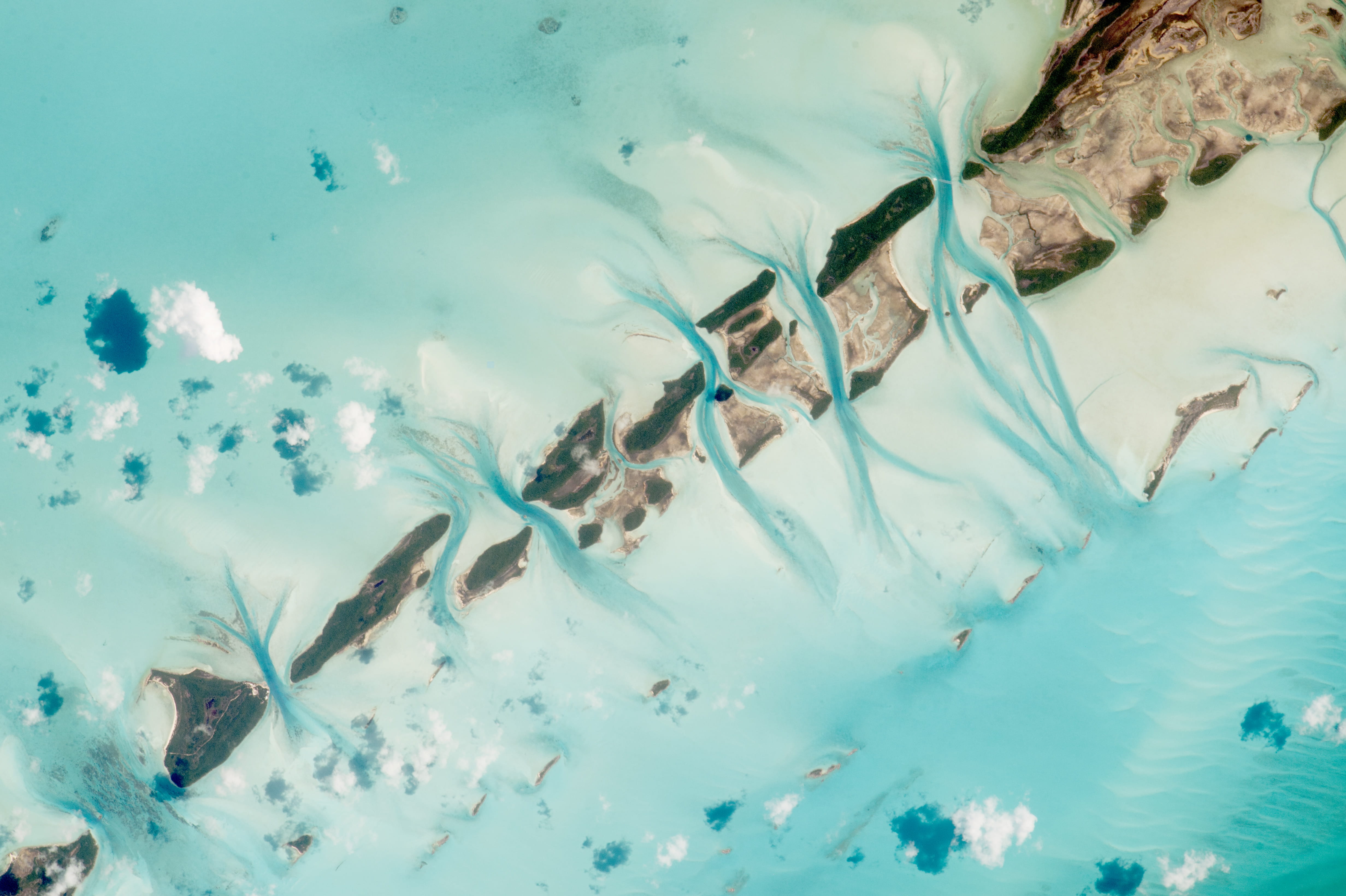 abstract, blue, island, snow, sea, nature, cold - Temperature, water, close-up, brown, cold temperature, animal themes, animal wildlife, swimming, brown, HD Wallpaper