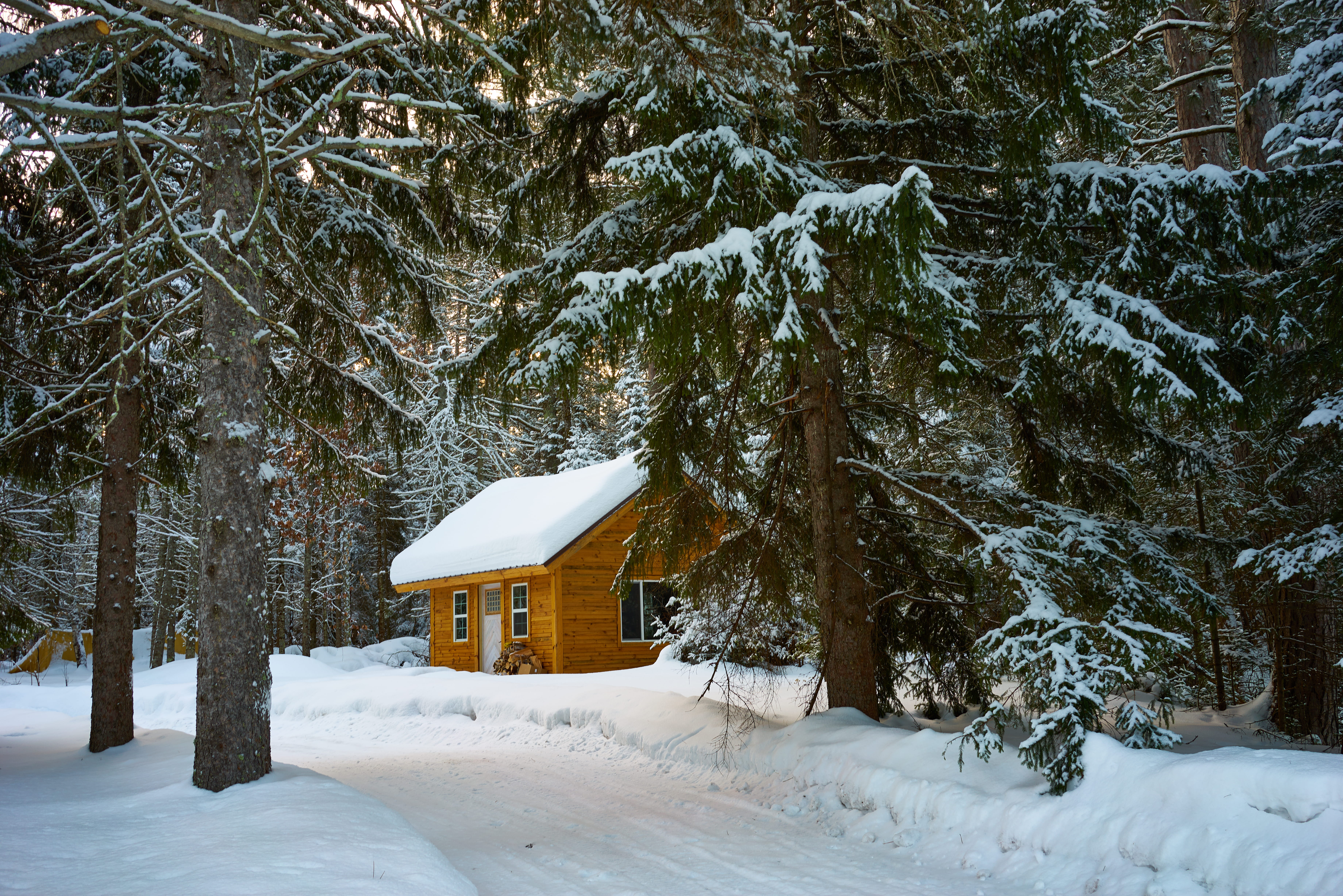 zing, place, built structure, season, plant, snowcapped, tree, bungalow, building, house, pine trees, architecture, scenic, outdoors, cabin, land, snowstorm, HD Wallpaper