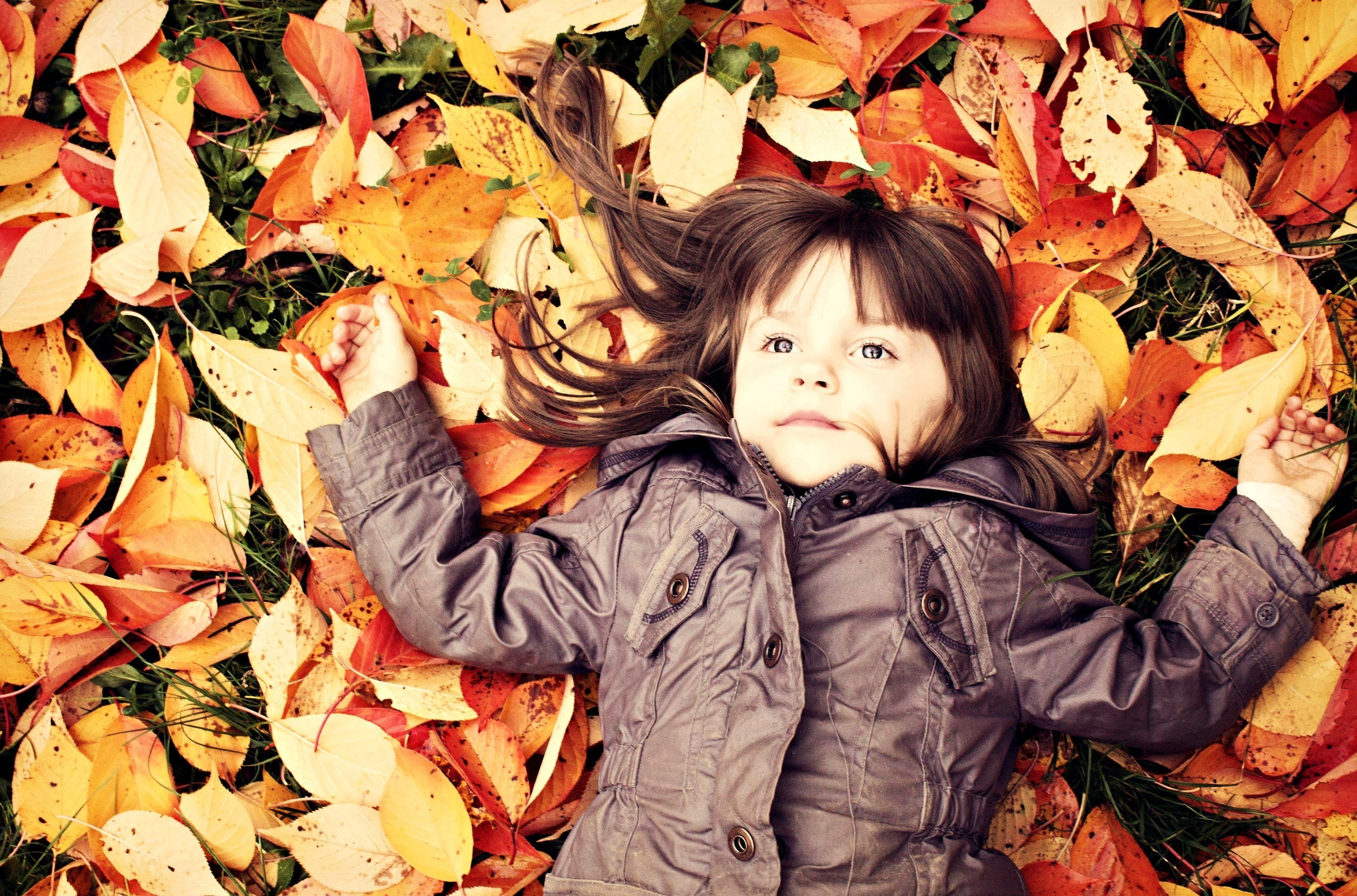 baby, childhood, gray, outdoors, fallen, autumn, plant part, s, real people, change, innocence, girl, front view, jacket, 2K, looking at camera, girls, HD Wallpaper