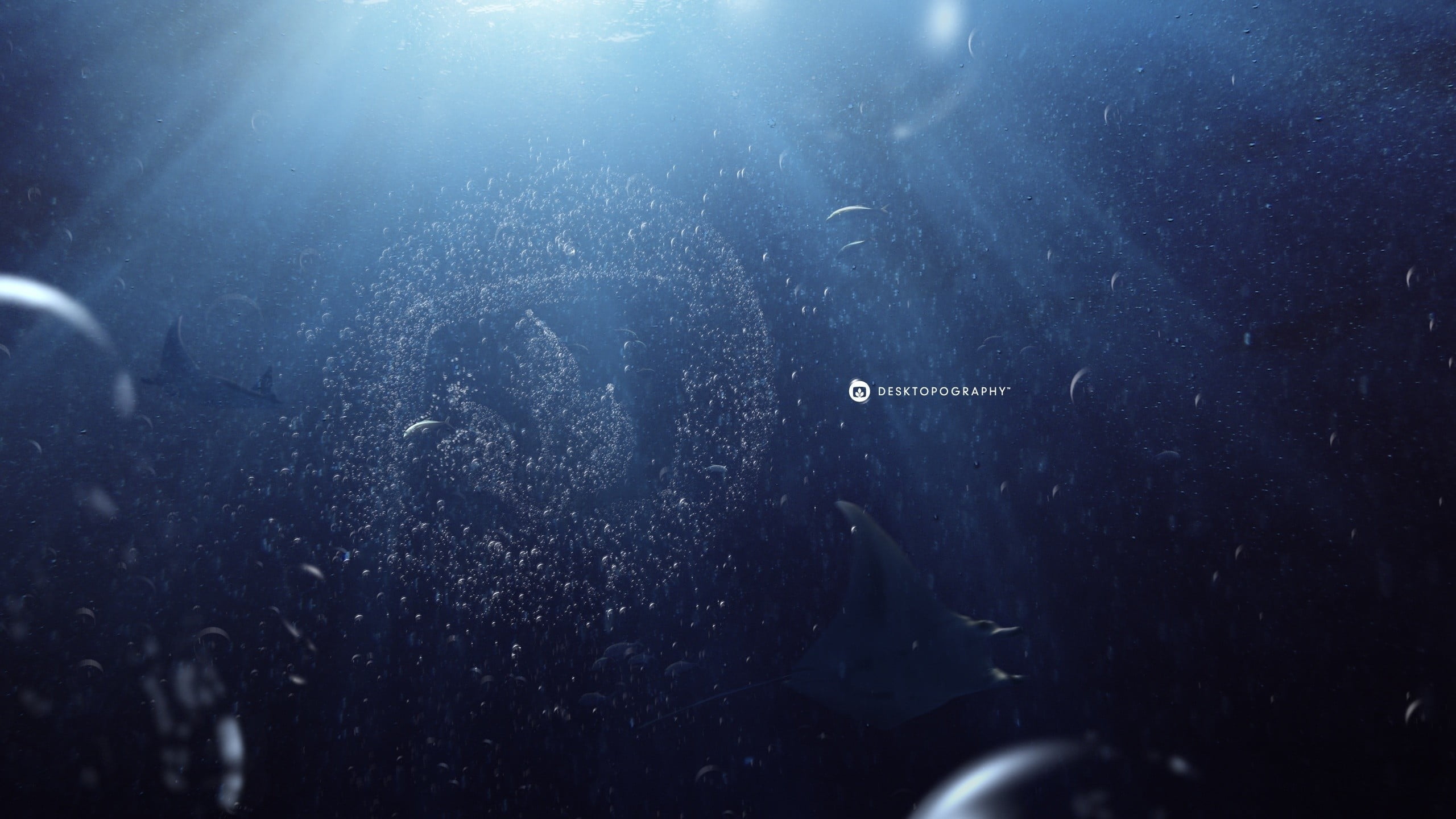 people, bubbles, event, stage, performance, arts culture and entertainment, popular music concert, group of people, 2K, logo, blue, enjoyment, HD Wallpaper