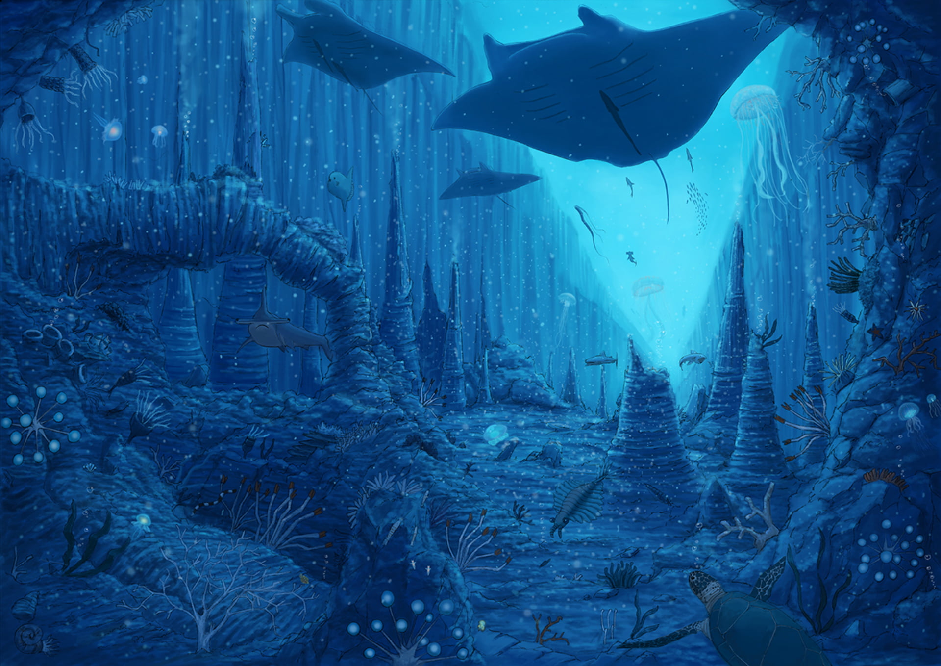 Anime, Underwater, Shark, 1080P, Fish, Manta Ray, Original, HD Wallpaper