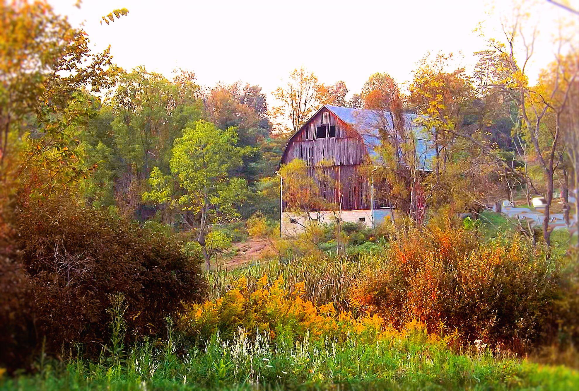 1080P, building, autumn, farm, fall, barn, country, october, nature, morning, september, field, glow, HD Wallpaper