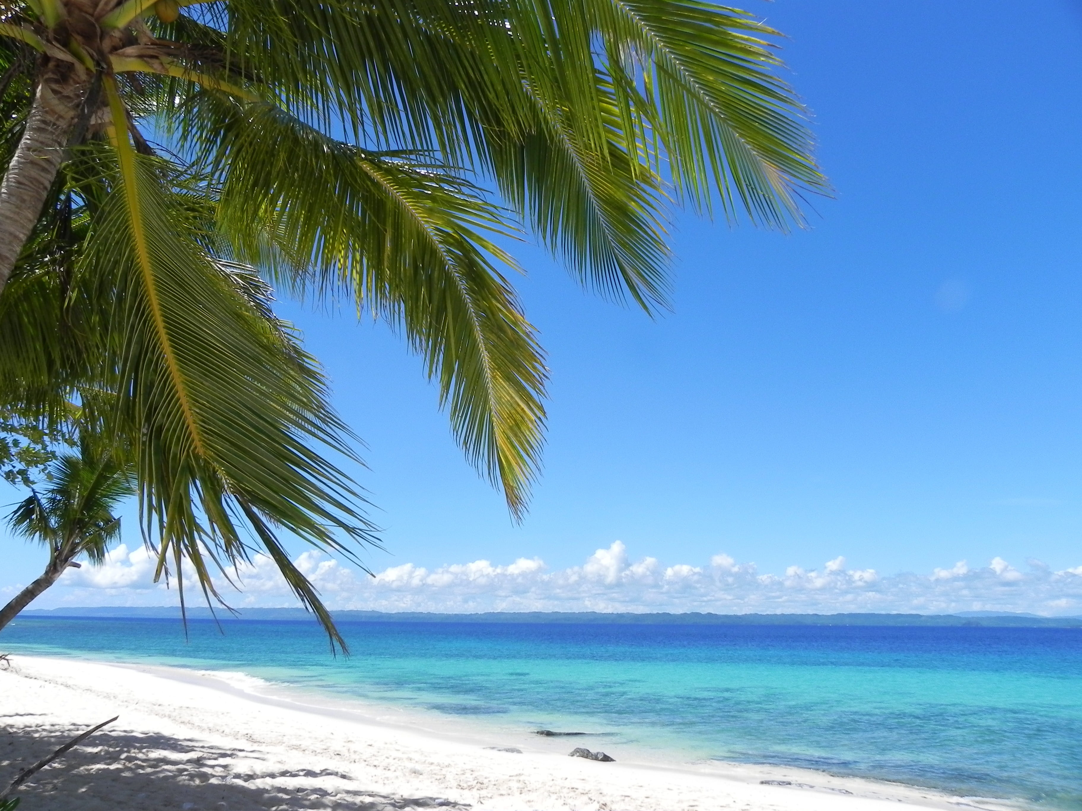 photo, philippines, white sandy beach, tranquil scene, tree, paradise, near, beauty in nature, turquoise colored, outdoors, scenics - nature, pacific, travel, HD Wallpaper
