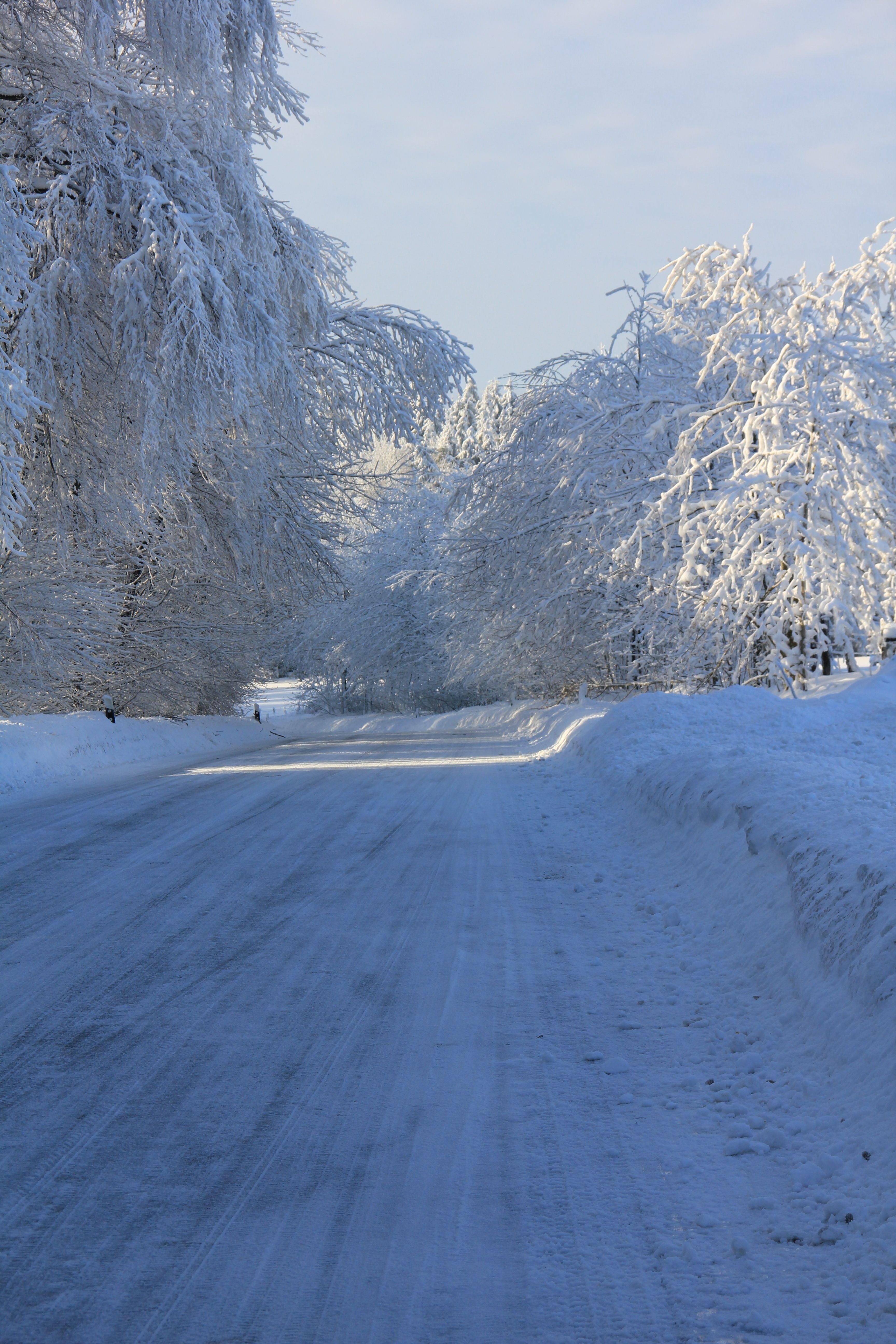 5K, trees, snow, season, transportation, frost, snowcapped mountain, forest, nature, tree, winter, cold temperature, tranquil scene, frozen, scenics, non-urban scene, Phone HD Wallpaper