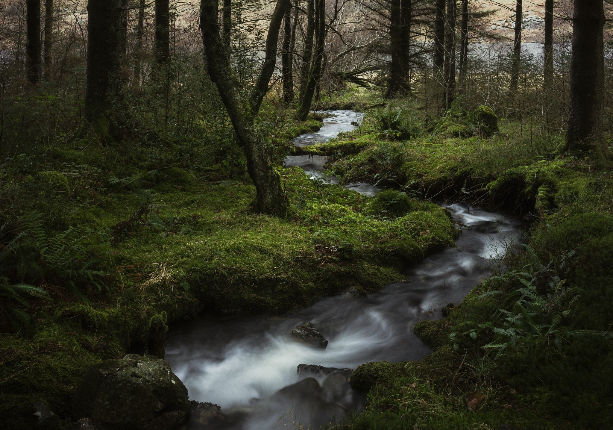flowing, nature, land, motion, no people, creeks, day, plant, 1080P, long exposure, outdoors, green color, non-urban scene, forest, scenics - nature, river, HD Wallpaper