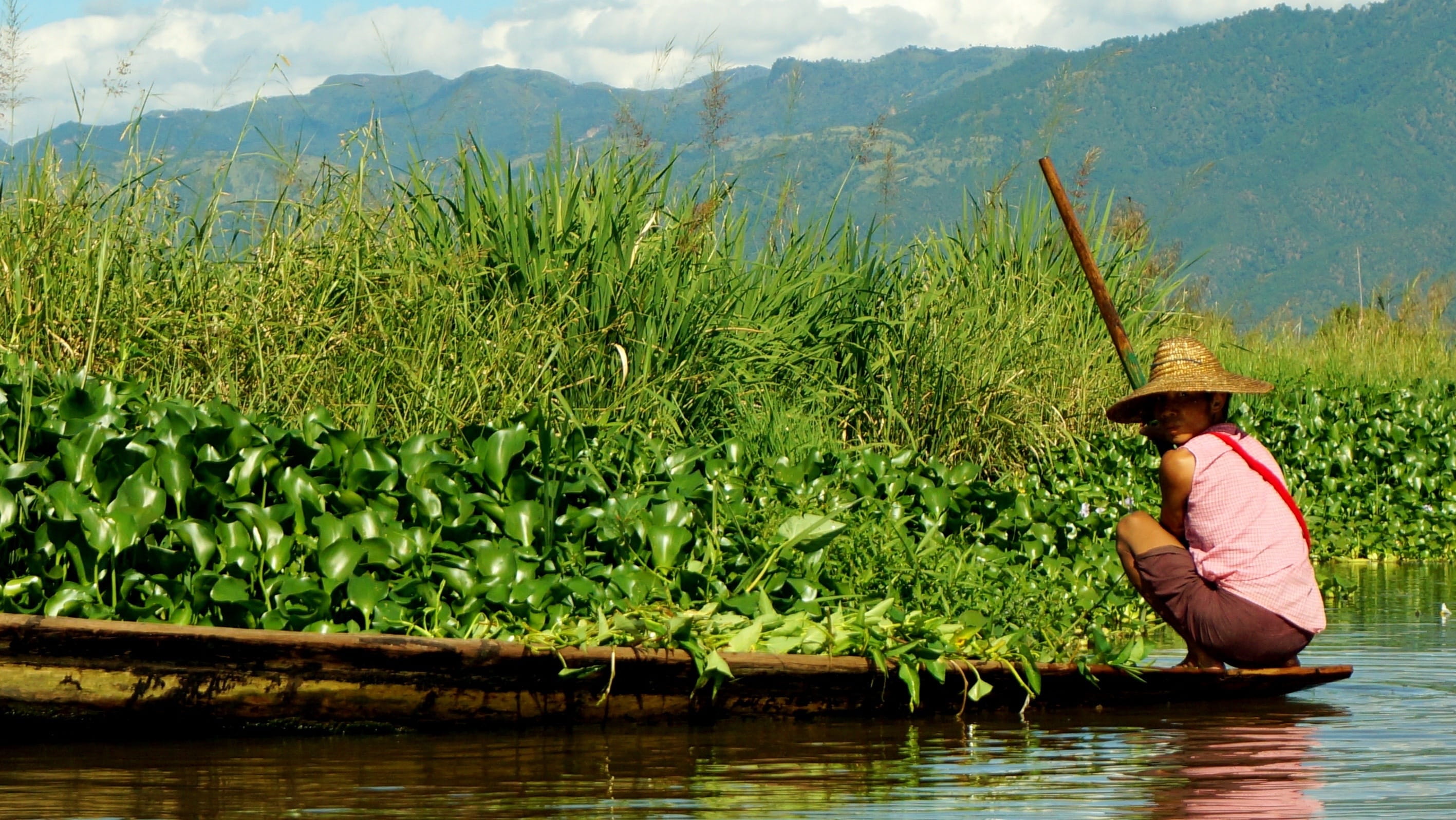green, tribal, waterfront, Boat, one person, person, people, river, plants, hat, burmese, lake, growth, clothing, nature, three quarter length, boatsmen, HD Wallpaper