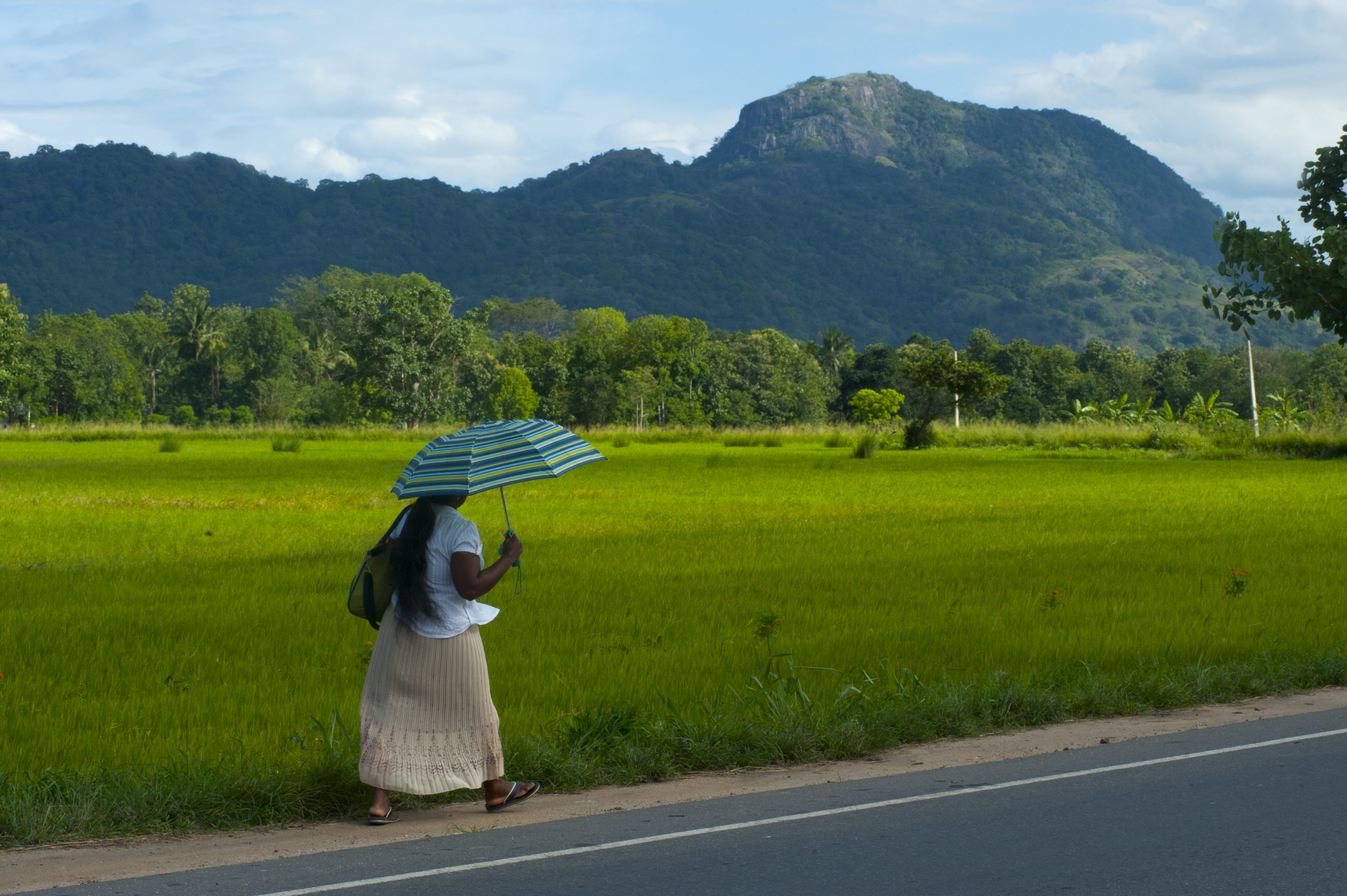 full length, rural scene, asian style conical hat, cropland, farmer, daylight, move, agriculture, farmland, road, walking, human, day, land, one person, HD Wallpaper