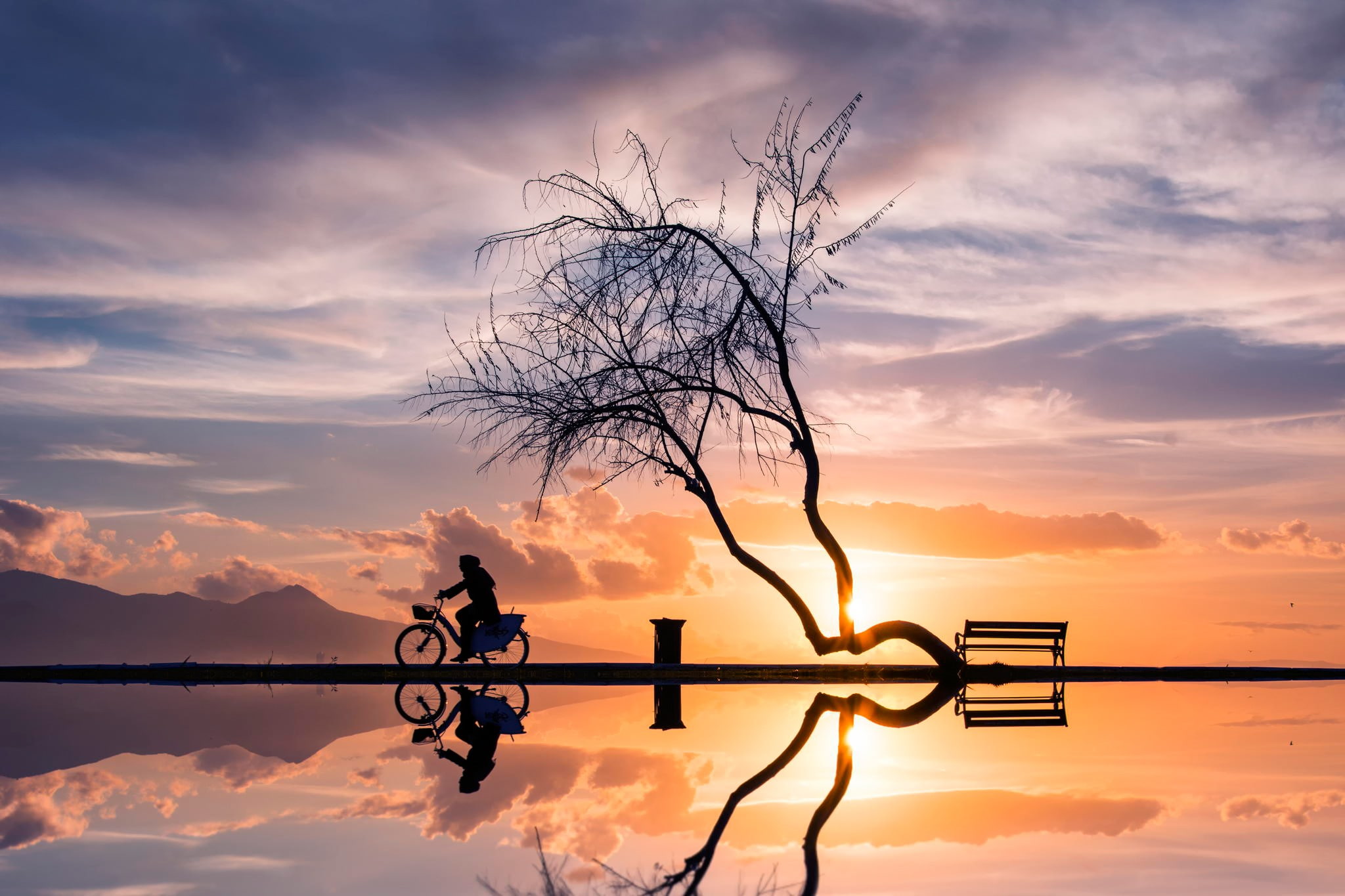 women, Sunset, bycicle, woman, silhouettes, reflection, bicycle, 1080P, tree, HD Wallpaper