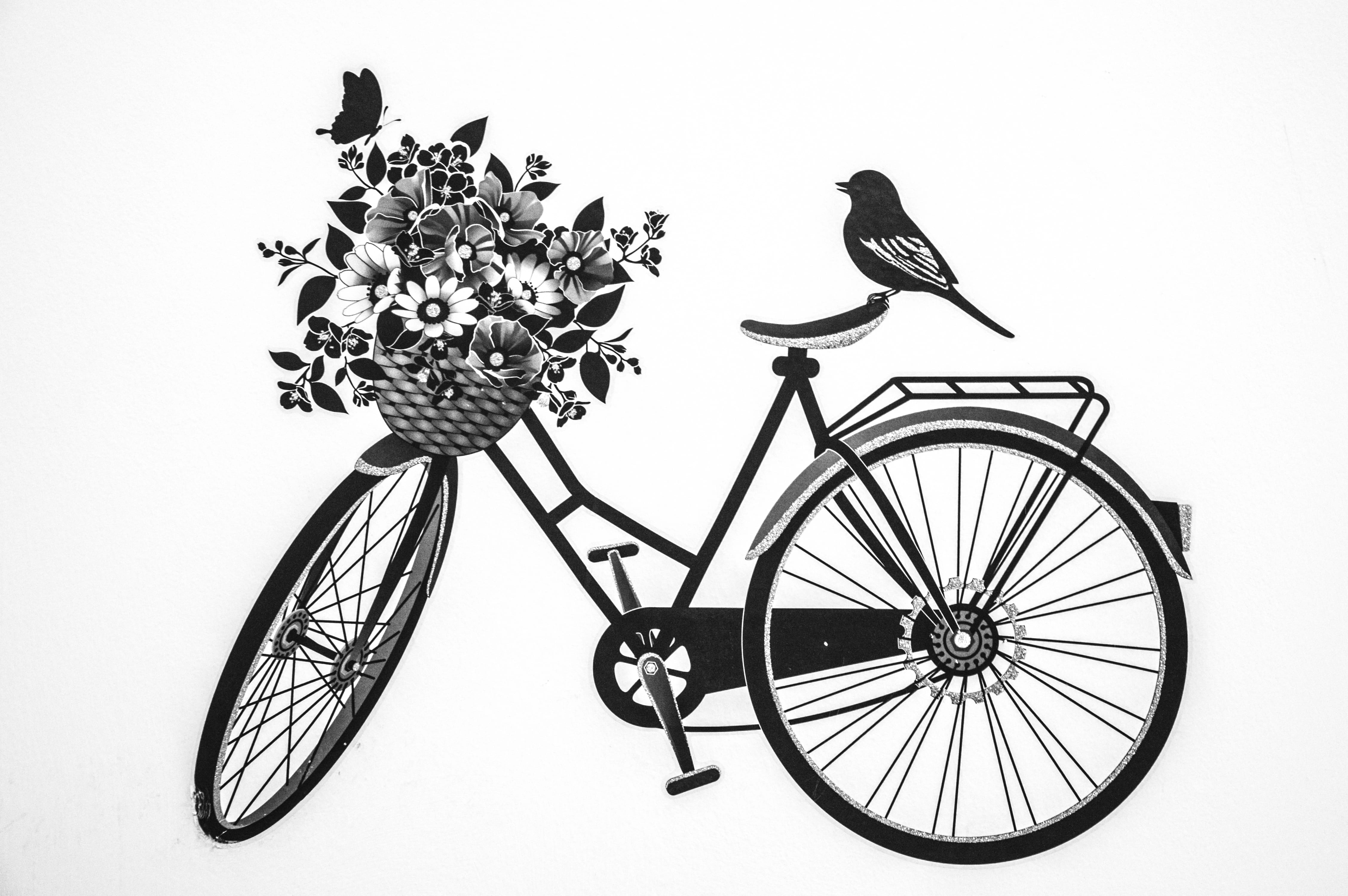 flowering plant, one animal, black, land vehicle, studio shot, bycicle, vertebrate, 4K, animal, transportation, white background, model, mode of transportation, HD Wallpaper