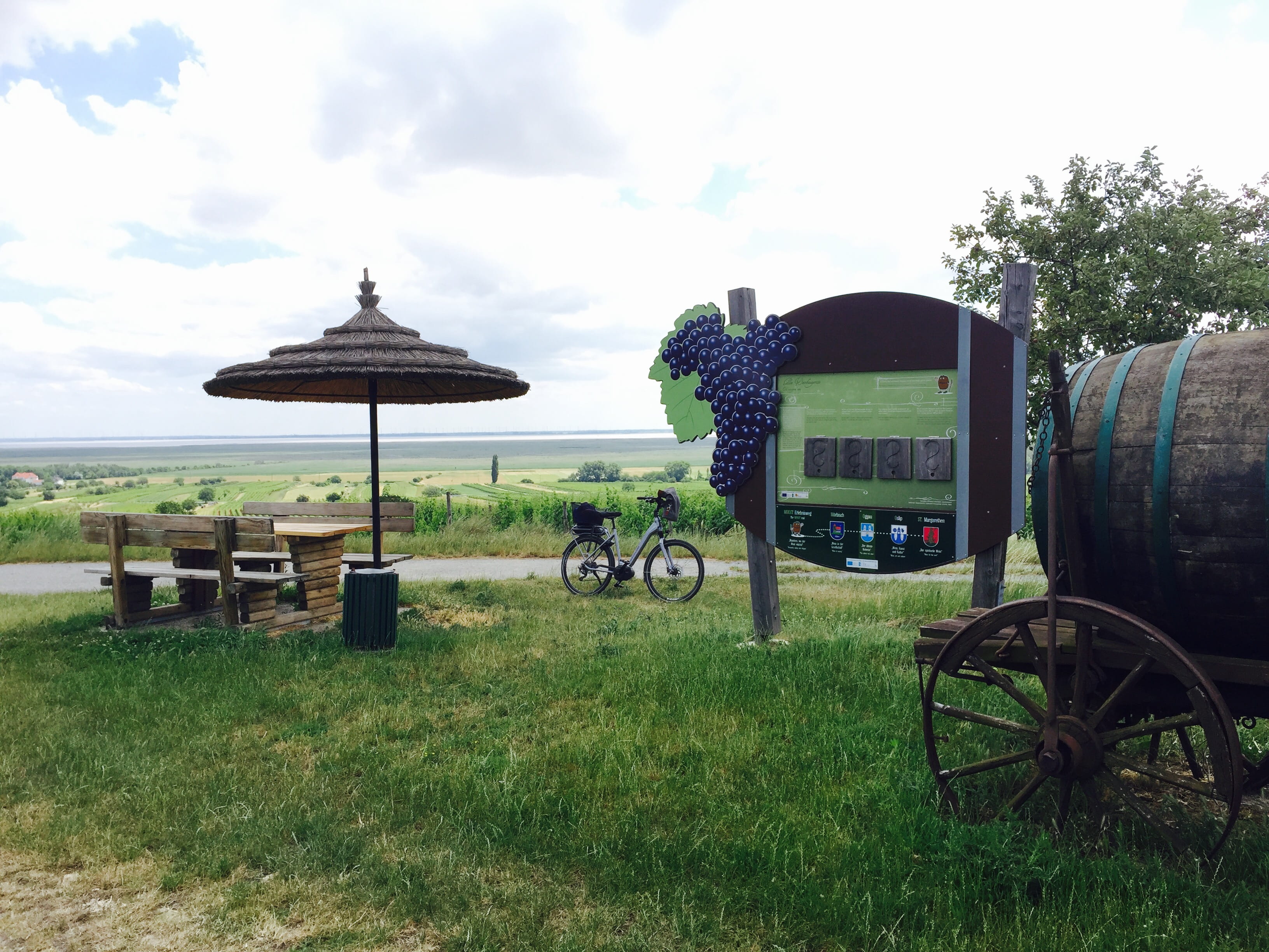 absence, sky, oostenrijk, ebike, tranquility, wine, day, grass, cart, tree, 2K, wheel, bycicle, oggau am neusiedler see, mode of transportation, transportation, HD Wallpaper