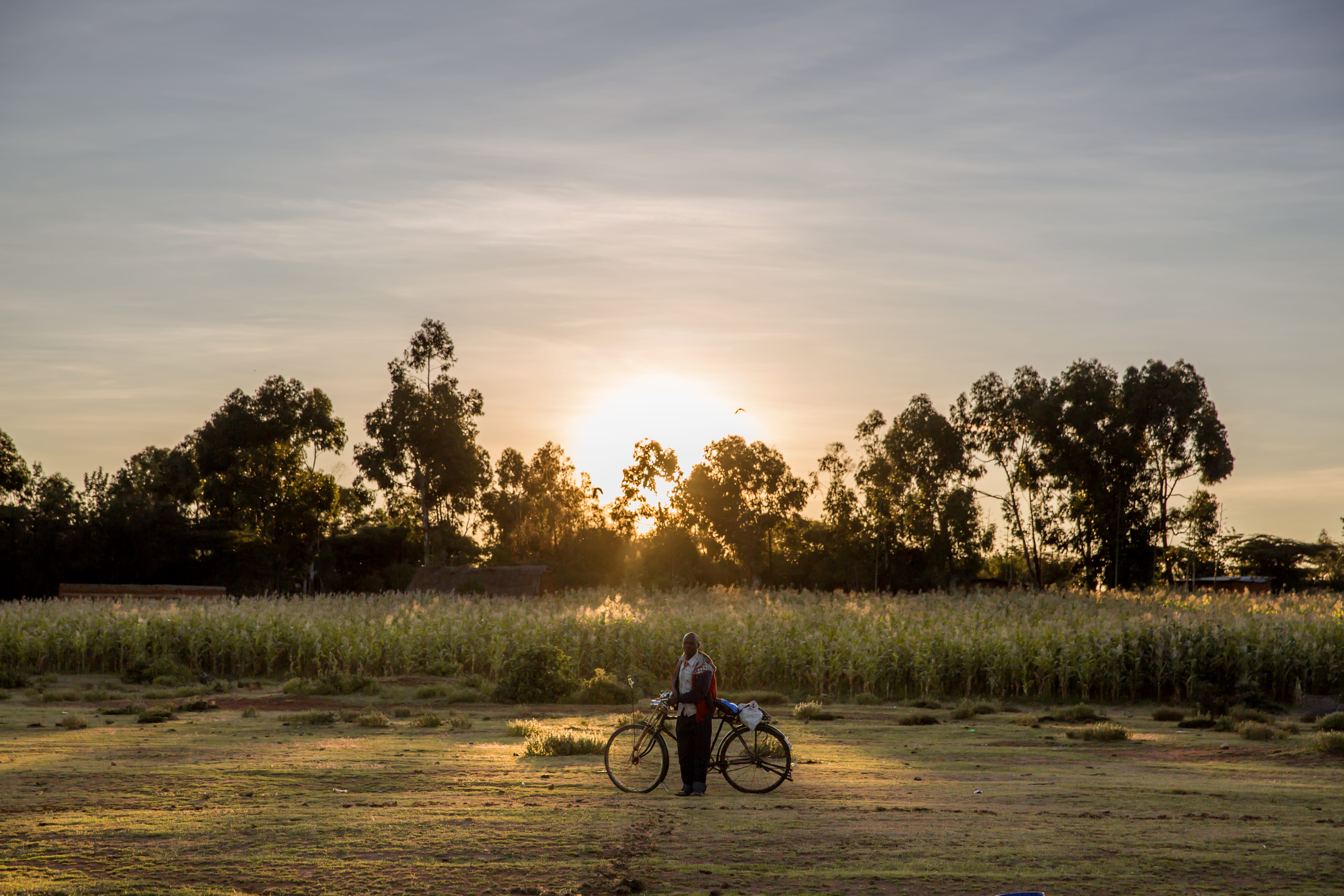 cloud - sky, outdoors, real people, 5K, bike, sun, sunlight, bird, sunset, plant, land, field, movement, grass, tree, people, bycicle, sunrise, pasture, HD Wallpaper
