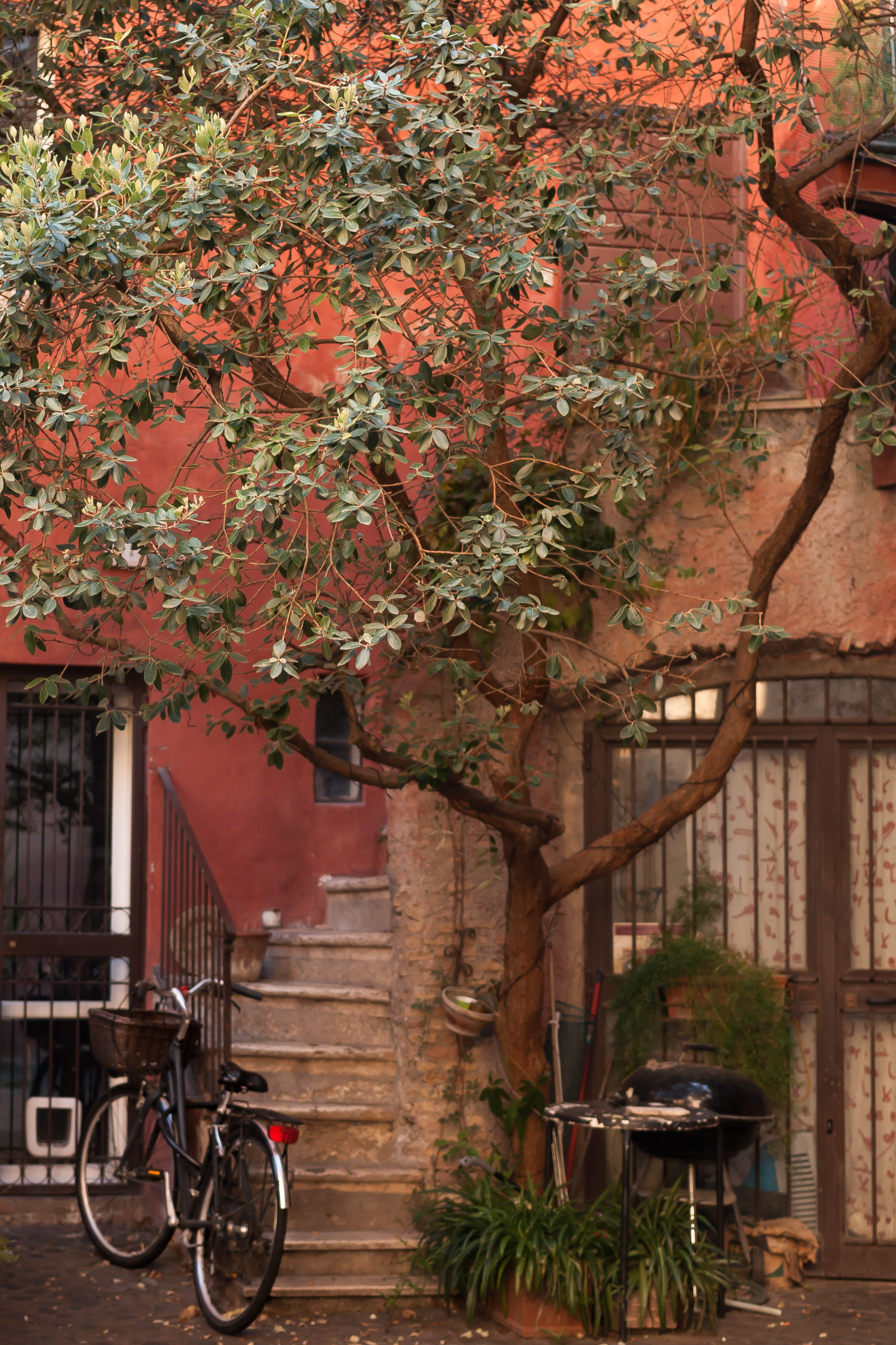 architecture, retro, day, bicycle, building, city, outdoors, stationary, flower, change, tree, transportation, plant, bycicle, autumn, building exterior, Phone HD Wallpaper