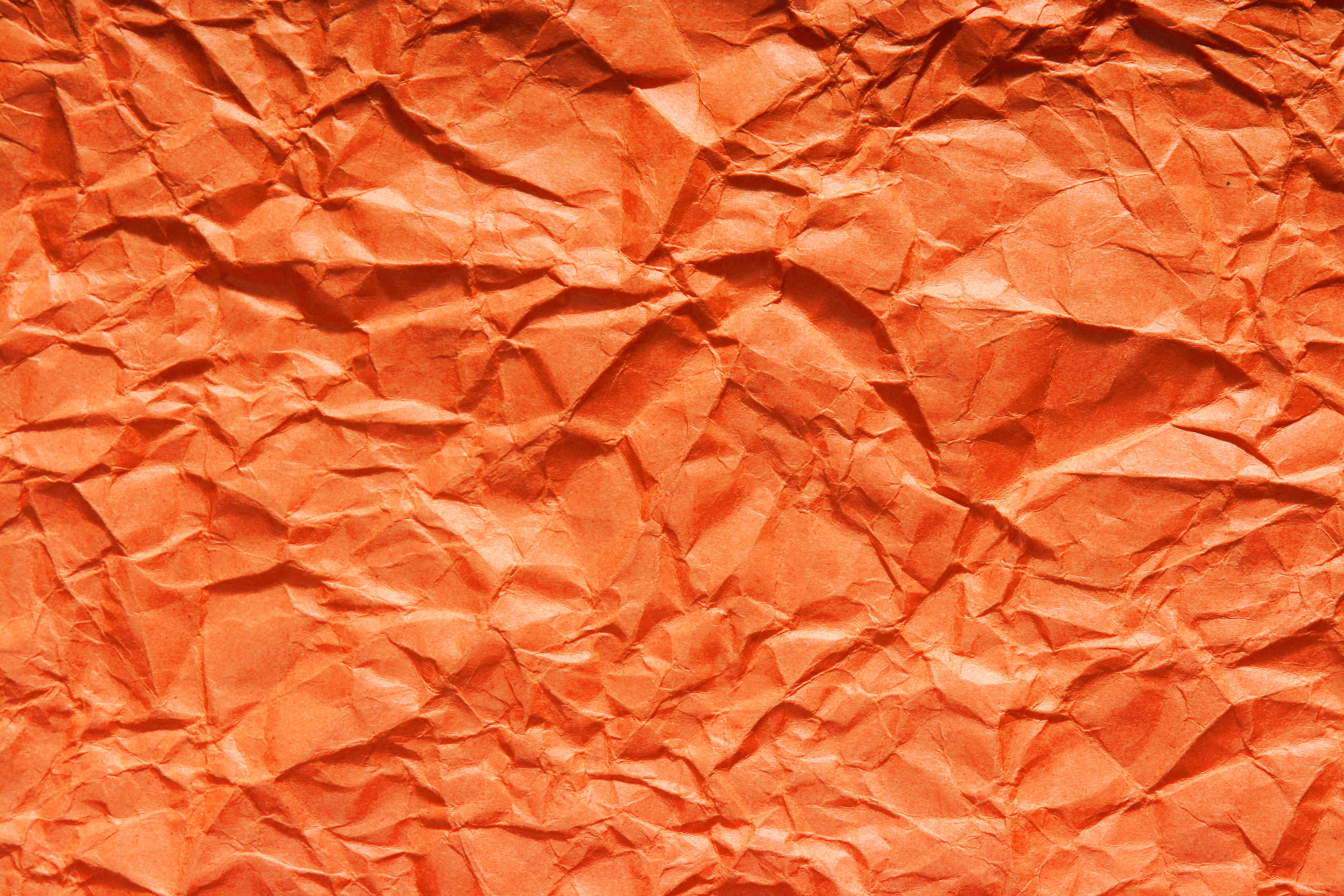 studio shot, crumpled paper, no people, crumpled, background, object, 2K, crease, rough, clean, documents, textured, delete, obsolete, scrap, page, cancel, HD Wallpaper