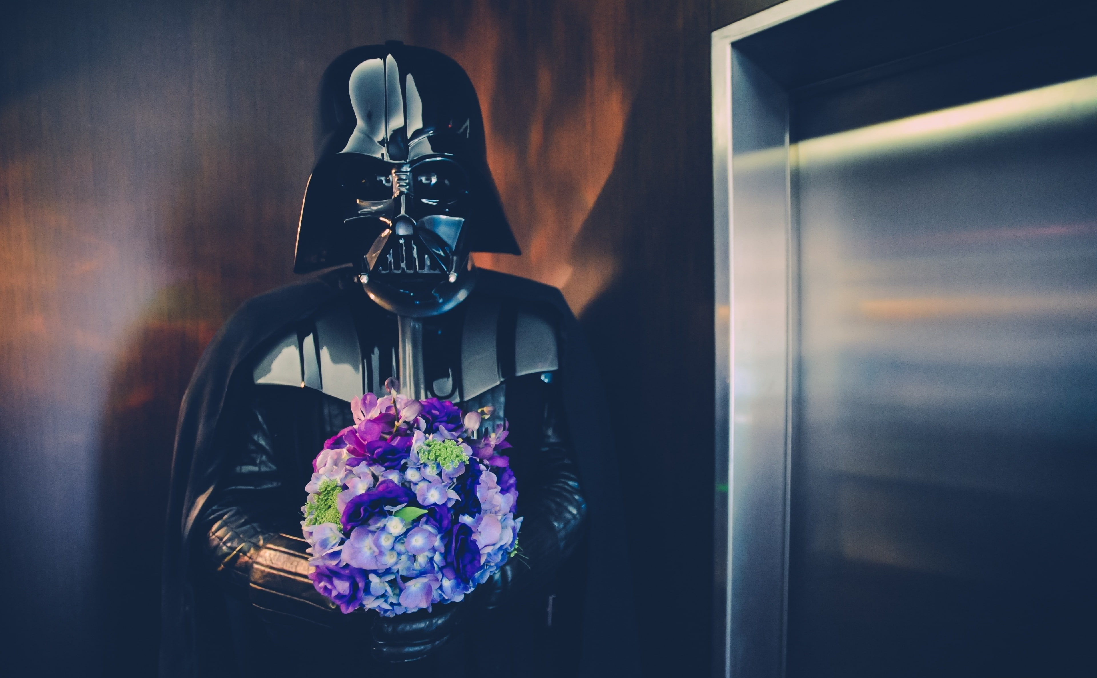 wood - material, darth, purple, Wedding, Dark, fragility, religion, Soldier, flowering plant, indoors, adult, starwars, Funny, vulnerability, one person, HD Wallpaper