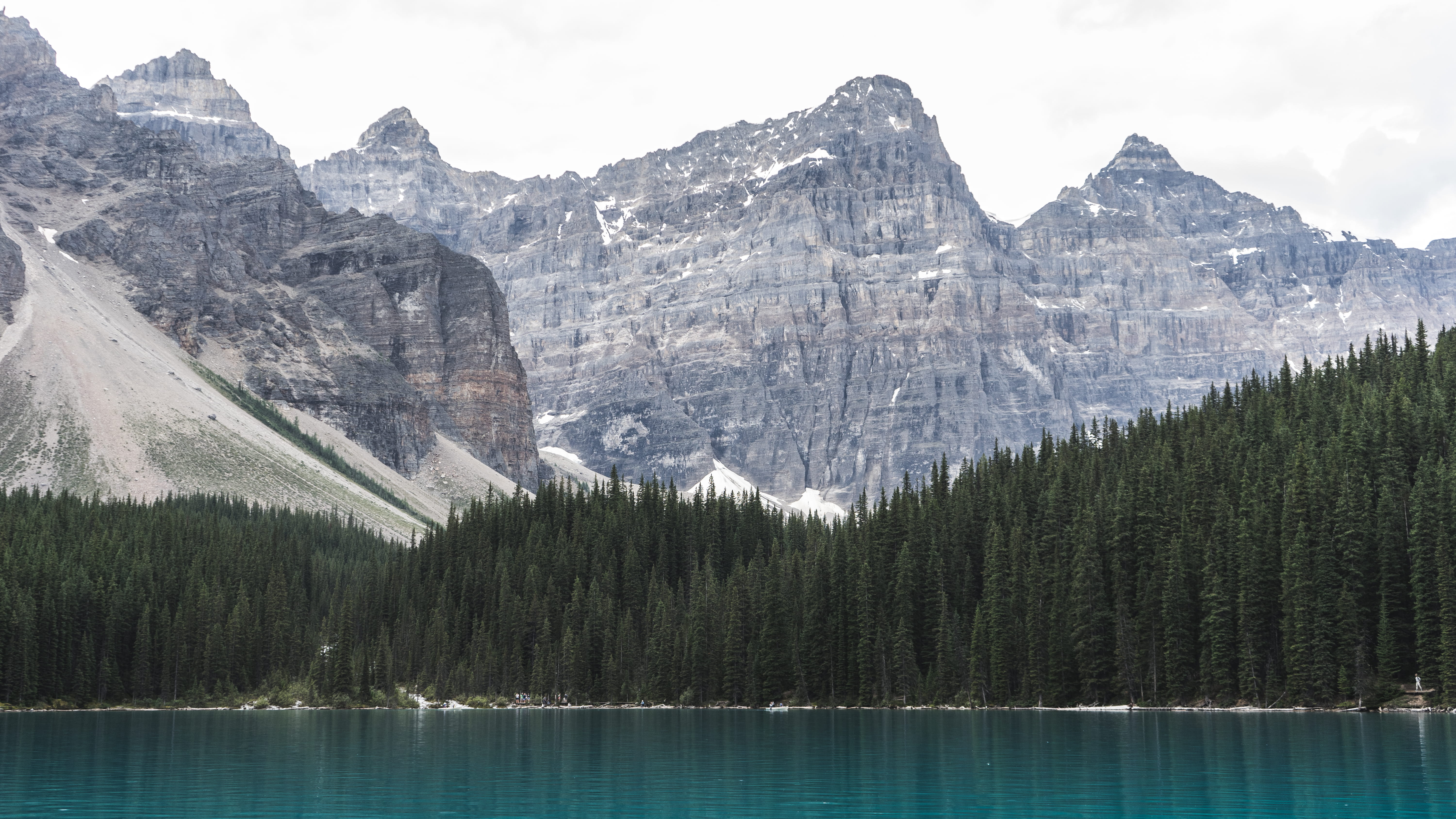 daytime, forest, pine trees, water, color Image, beside, waterfront, national Park, mountain, pine tree, scenics, tree, lake, formation, pine, range, nature, HD Wallpaper