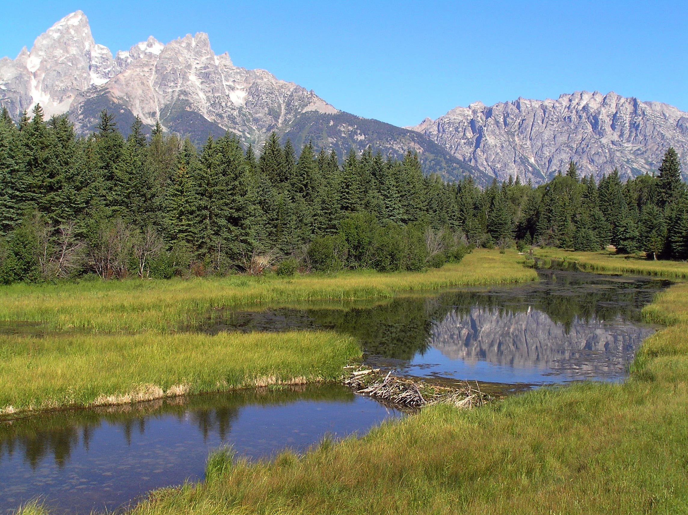 non-urban scene, spring, landmark, nature, mountain peak, landscape, woods, tranquil scene, no people, near, beaver dam, land, 1080P, formation, scenics - nature, HD Wallpaper