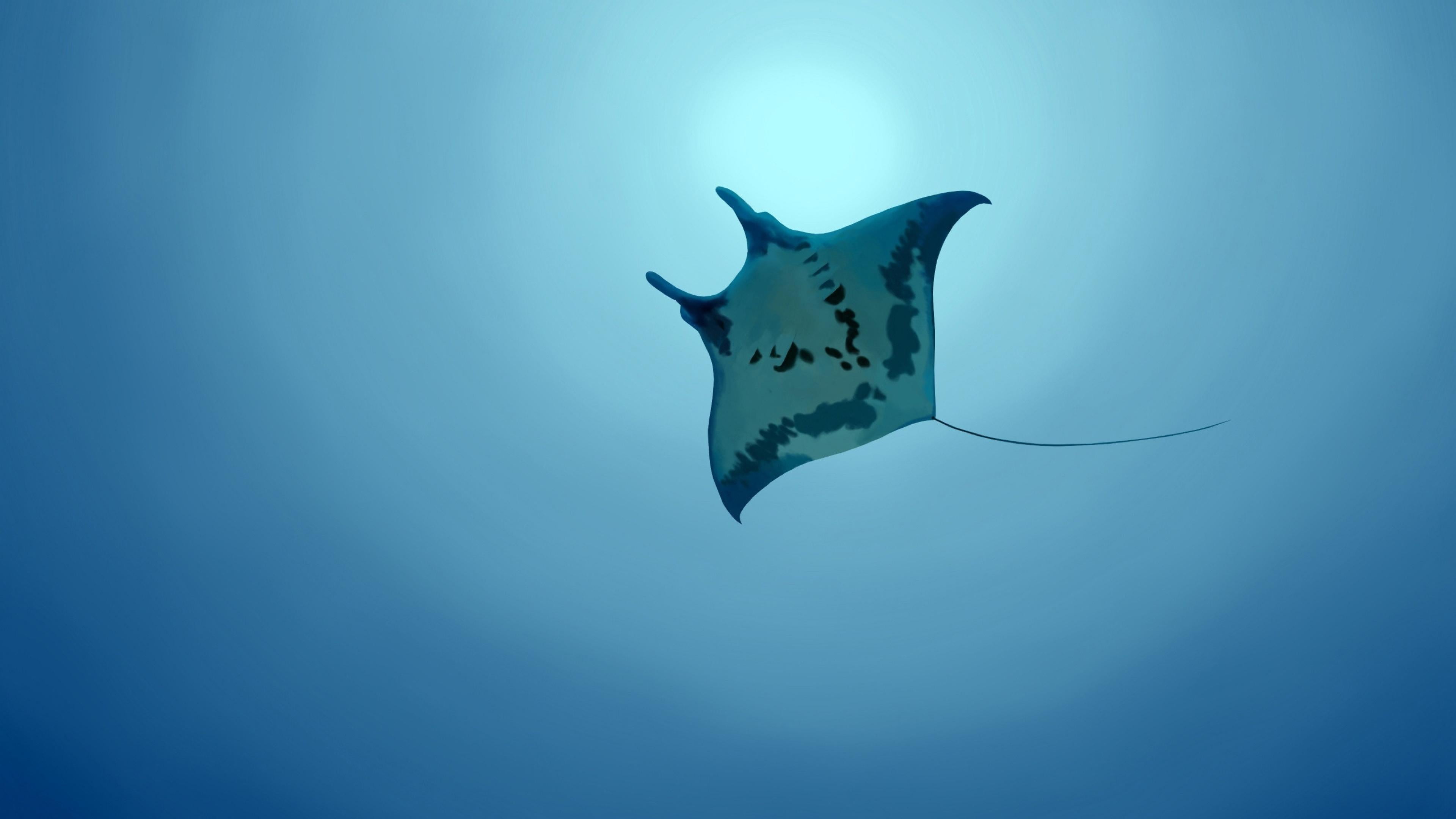 Marine animals, Bottom view, Sea, SKAT, 4K, HD Wallpaper