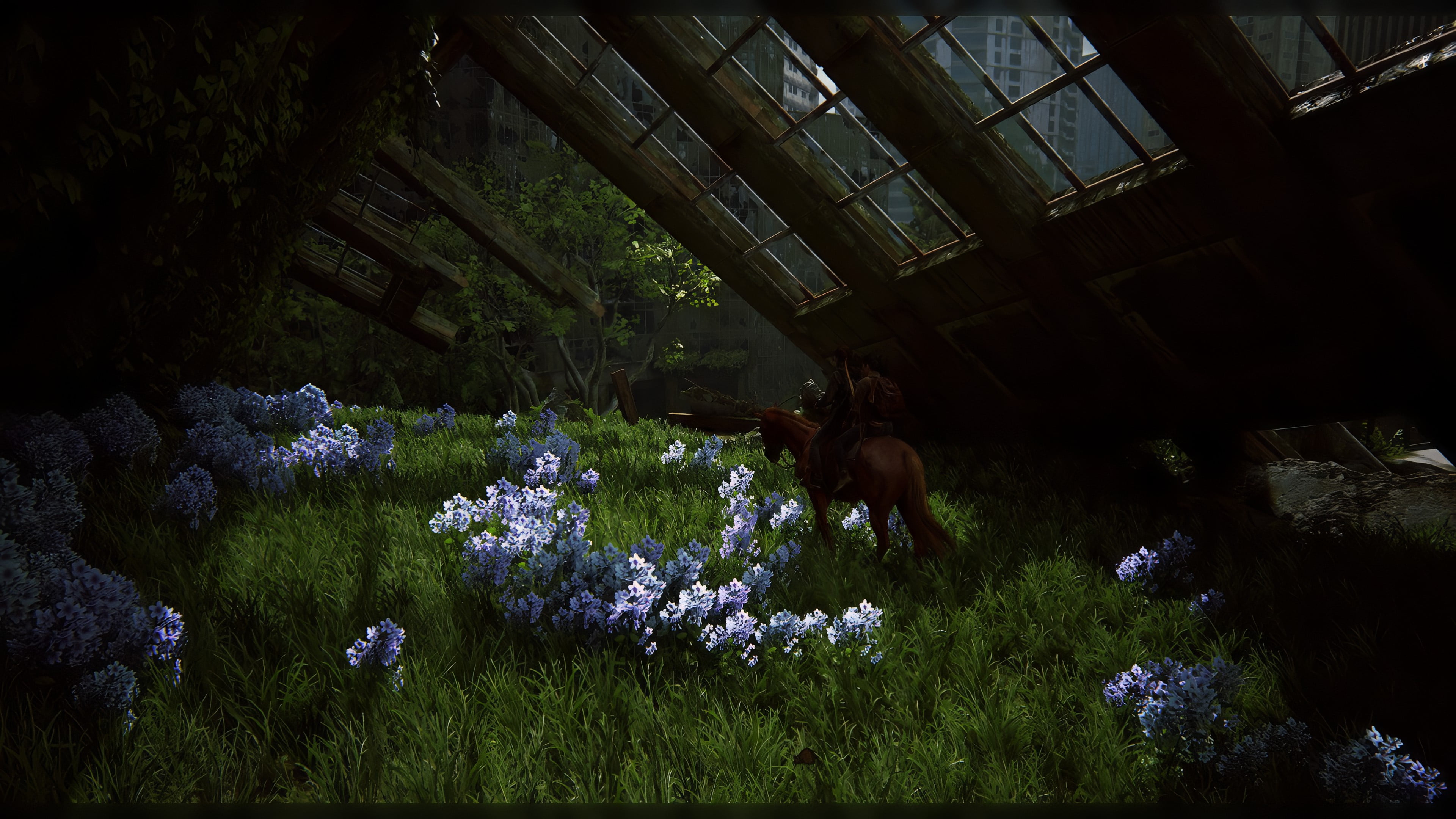 screen shot, The Last of Us 2, Ellie, PlayStation, 4K, Dina, video games, HD Wallpaper