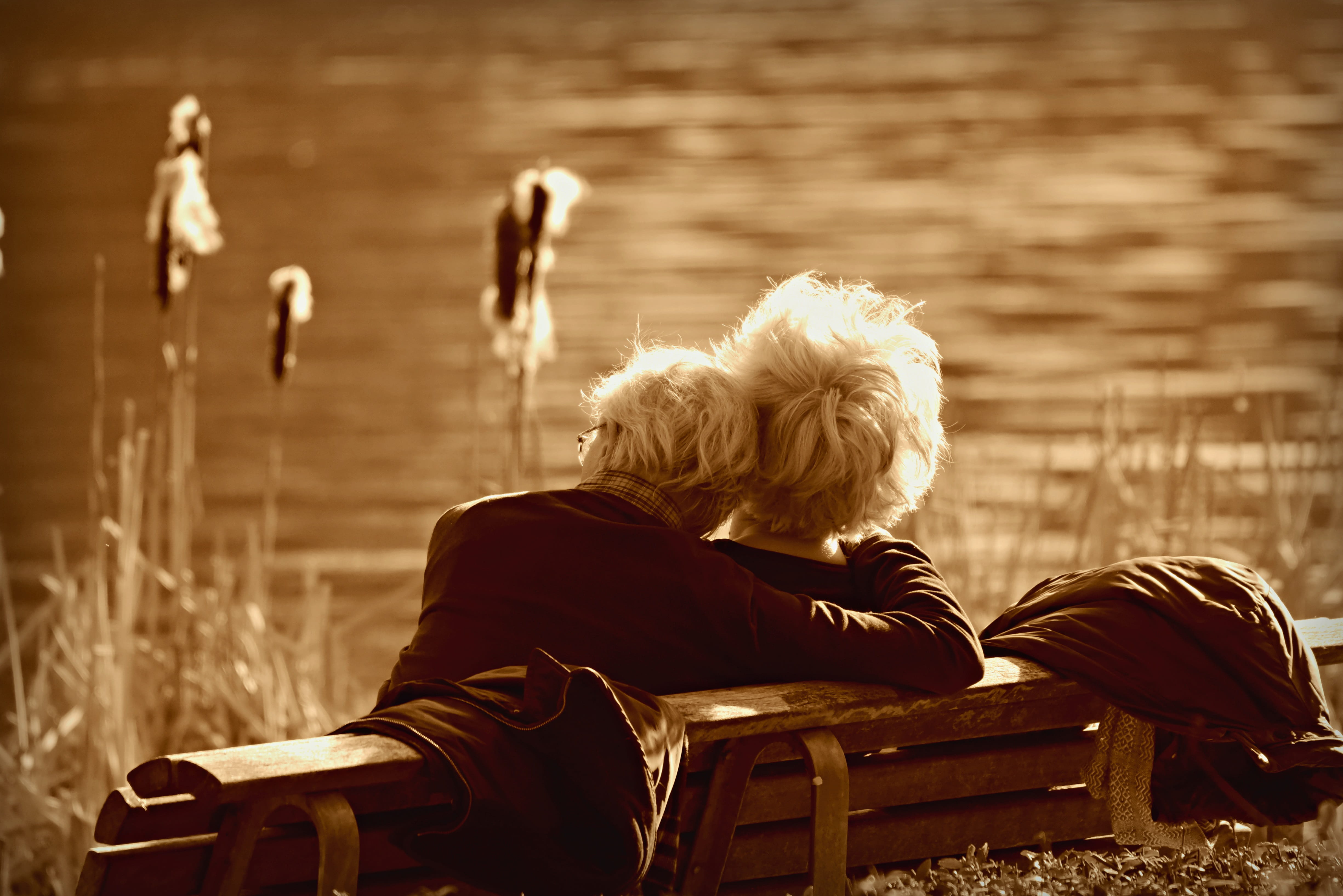 side by side, editorial, nature, sitting, togetherness, emotion, relaxation, friendship, tenderness, care, romantic, chair, focus on foreground, water, HD Wallpaper